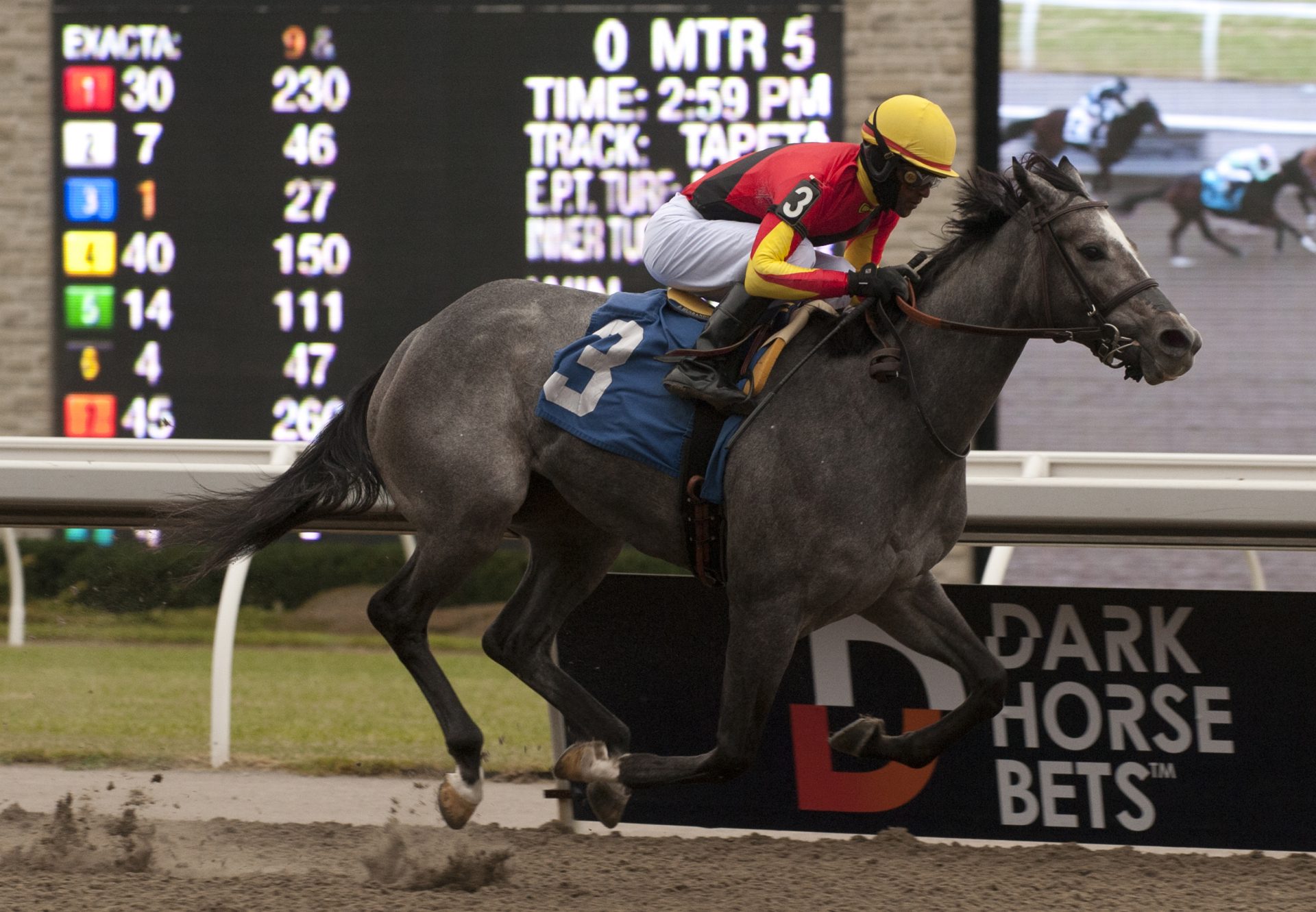 Princessofthenorth (Cupid) winning Woodbine MSW