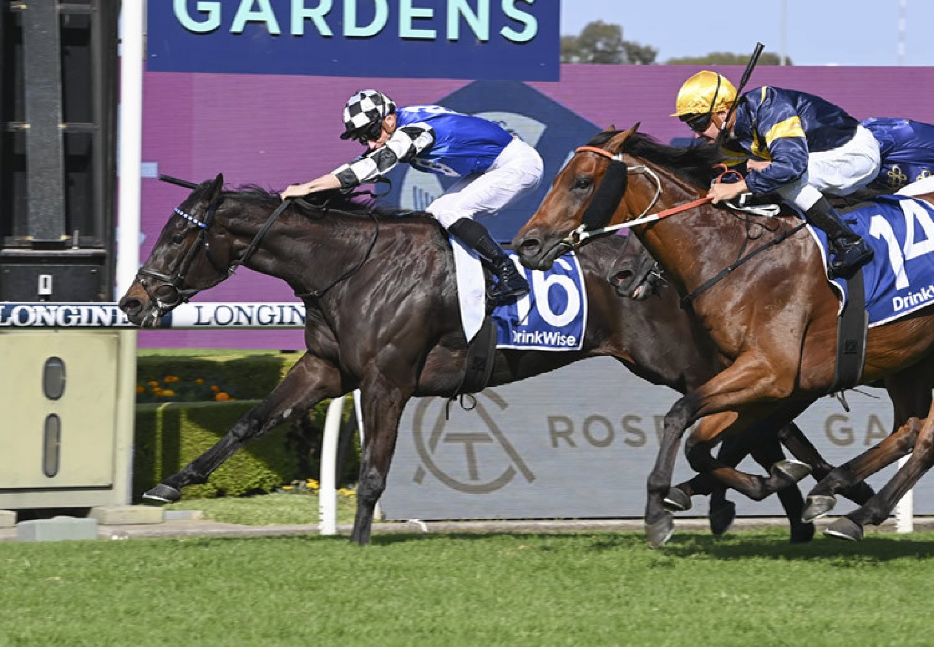 Protagonist (Wootton Bassett) winning the Gr.3 Sky High Stakes at Rosehill