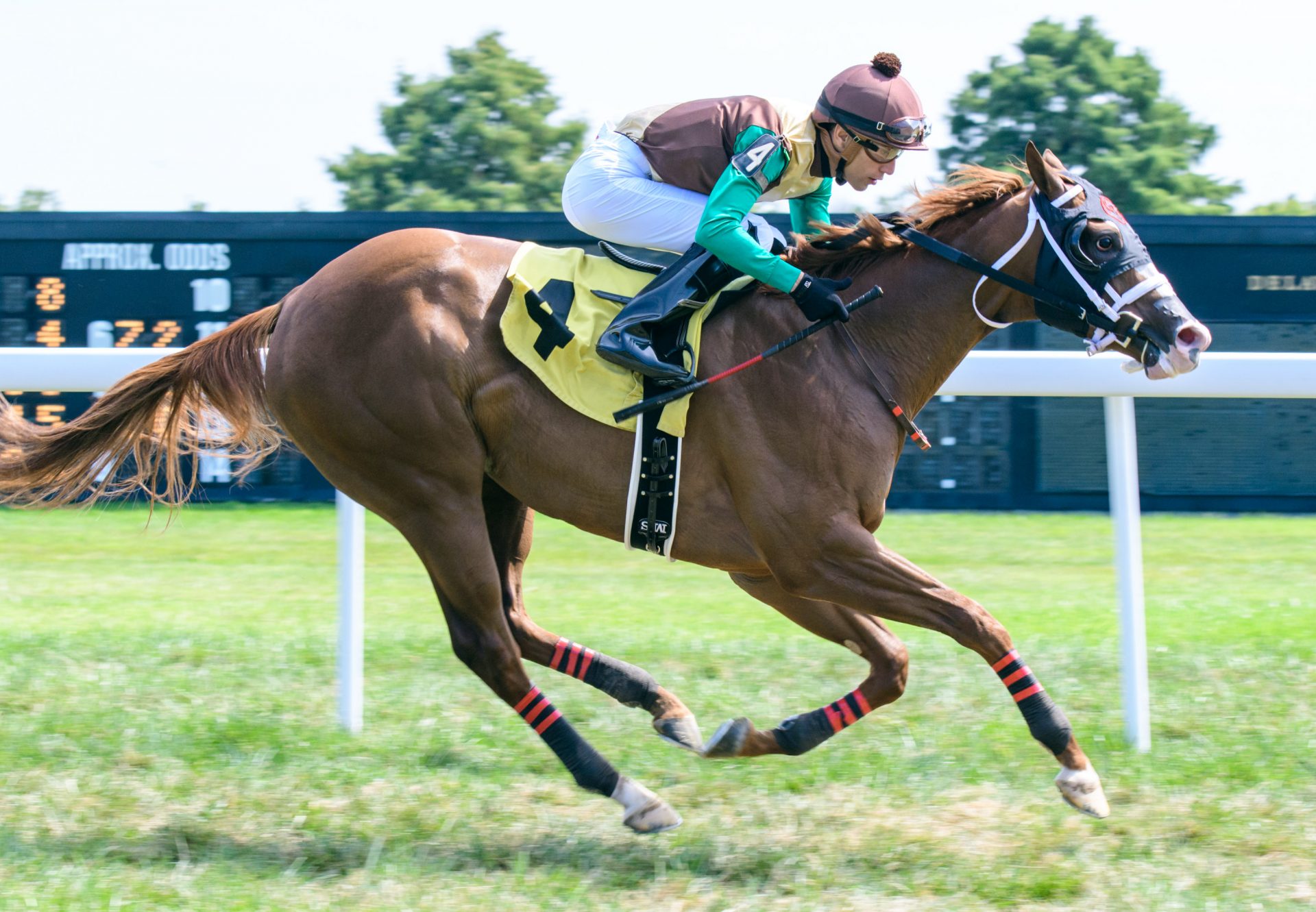 Prove My Love (Justify) Wins Delaware MSW