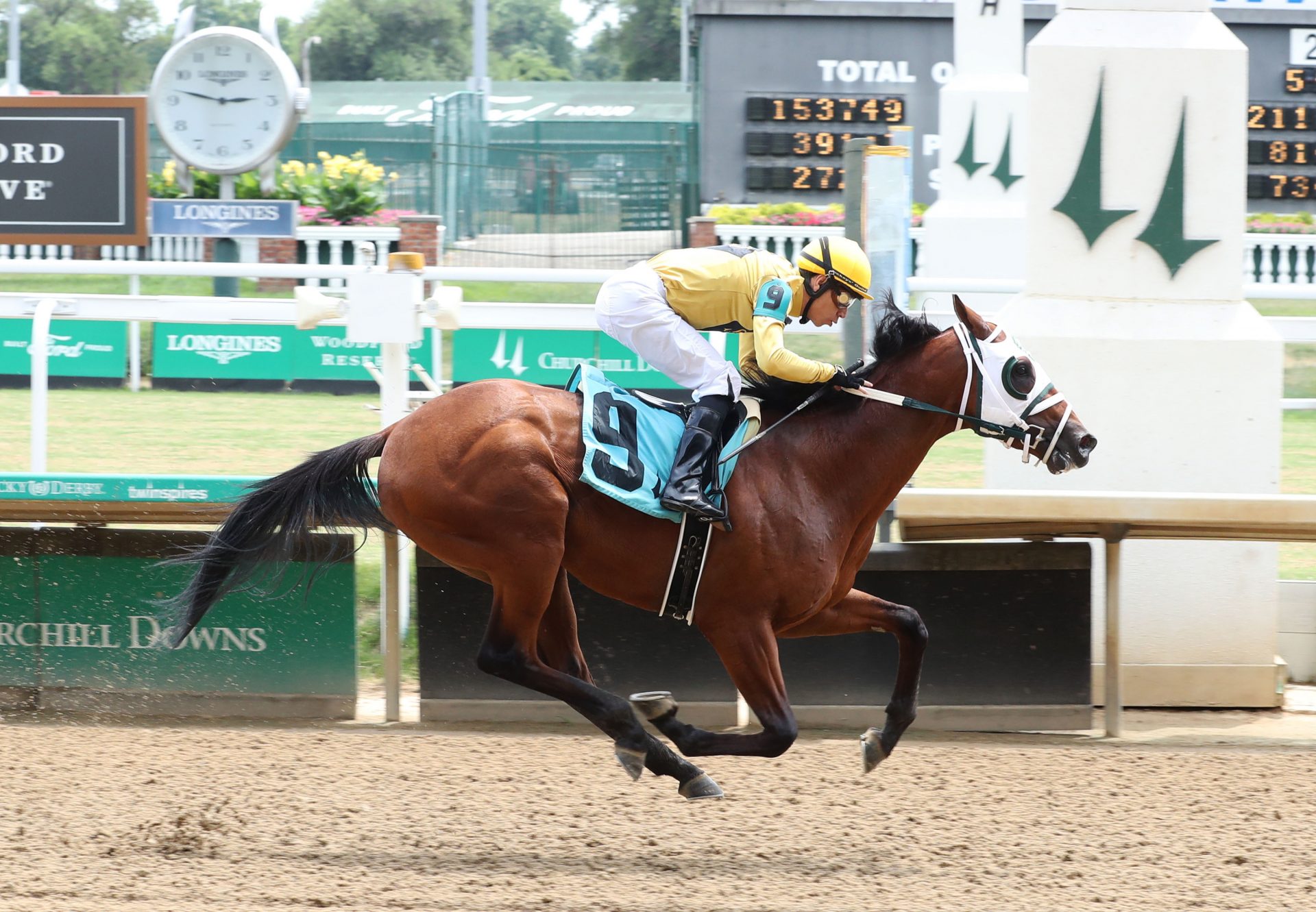 Prove Right (Justify) wins Churchill MSW