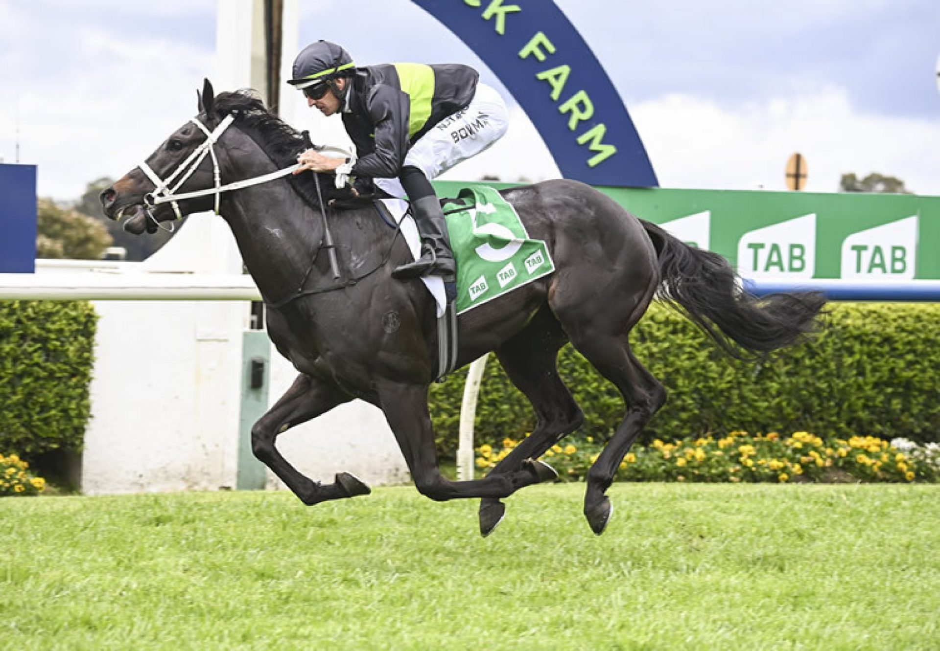 Pungo (So You Think) winning at Warwick Farm