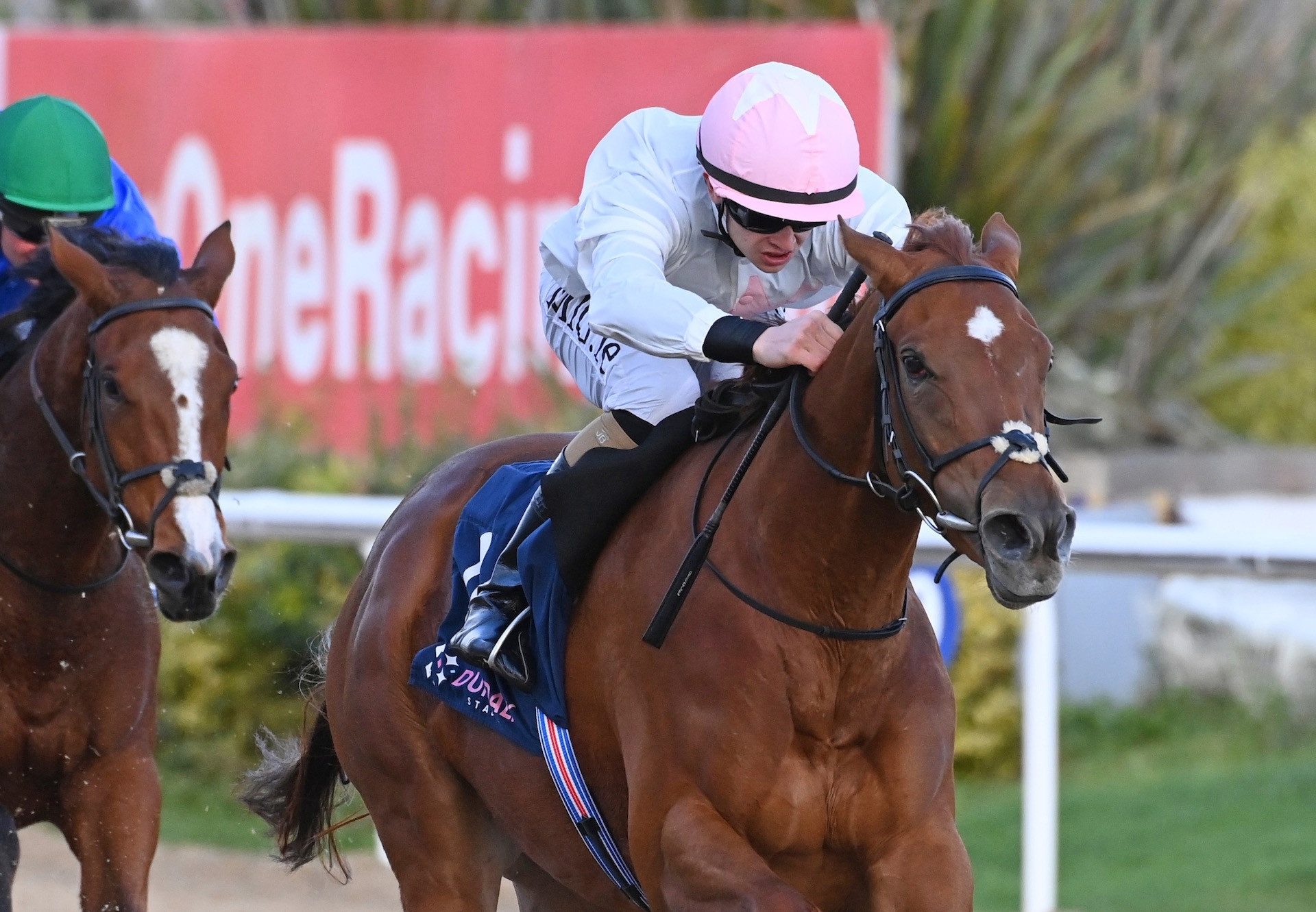 Queen Maedbh (Gleneagles) Wins Her Maiden At Dundalk