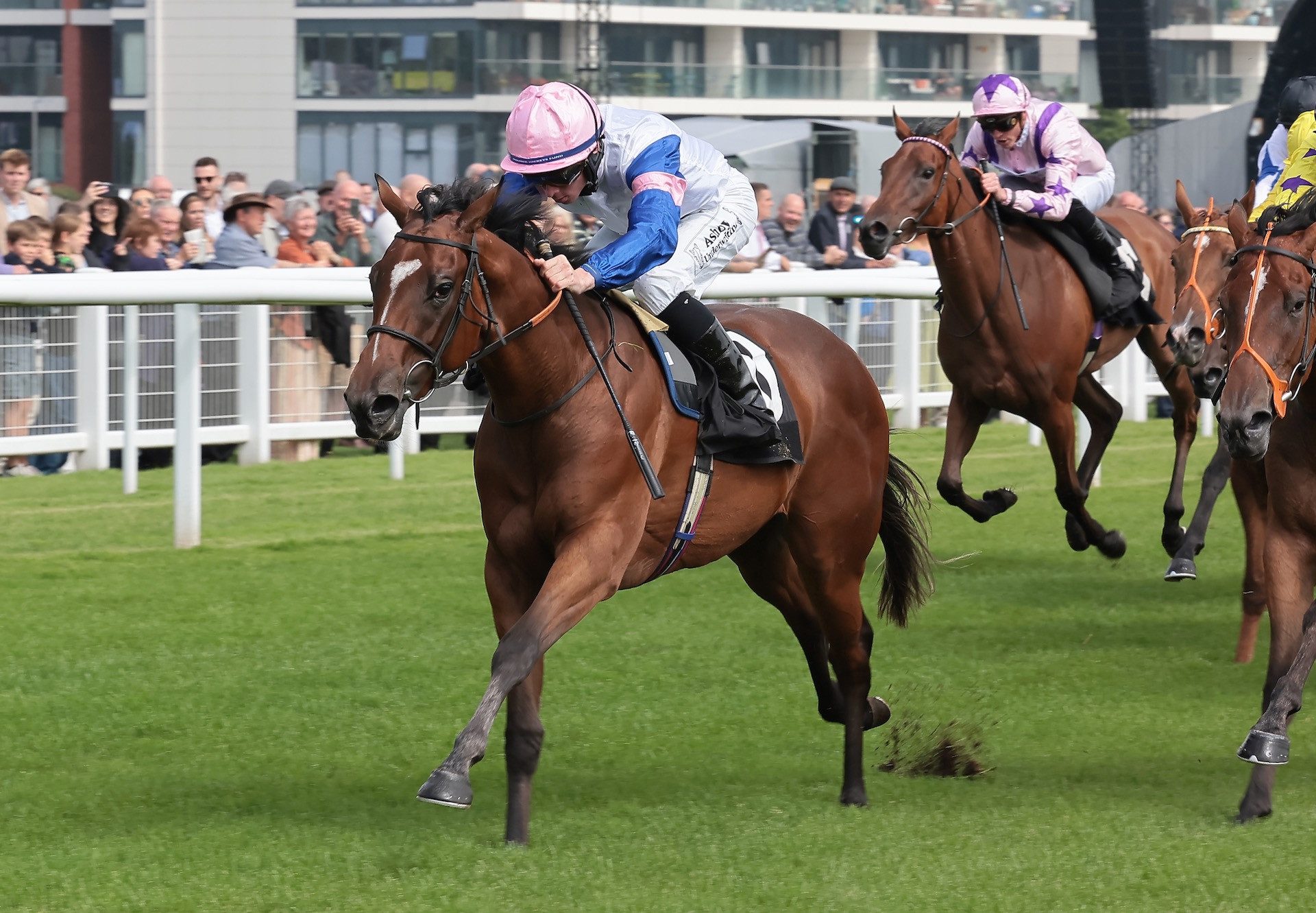 Queen Of Mougins (Ten Sovereigns) Wins On Debut at Newbury