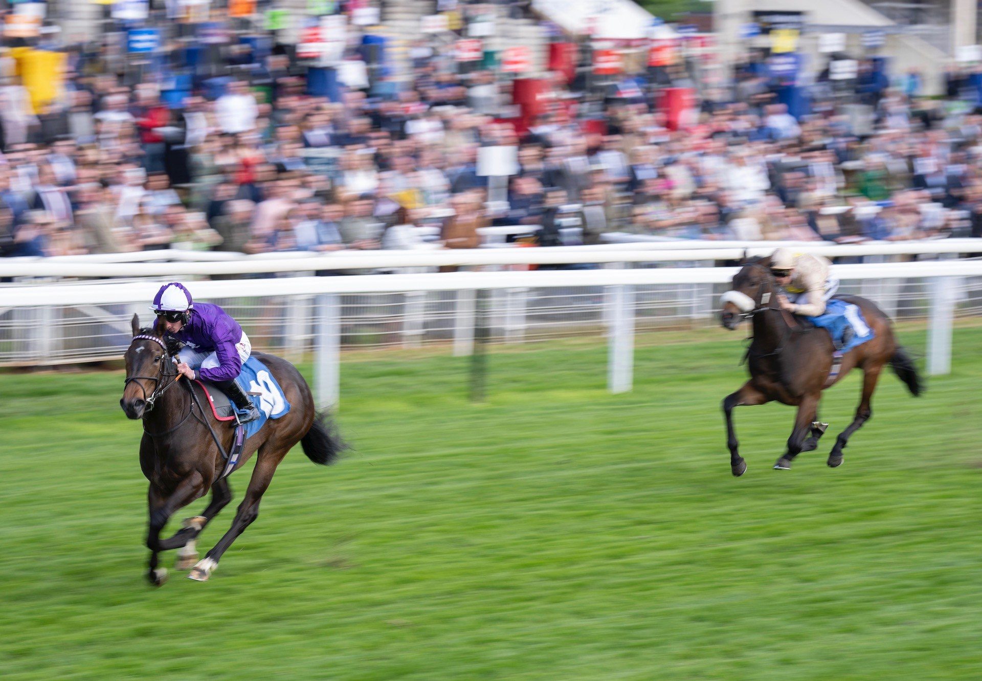 Queen Olly (No Nay Never) Makes A Winning Debut At York