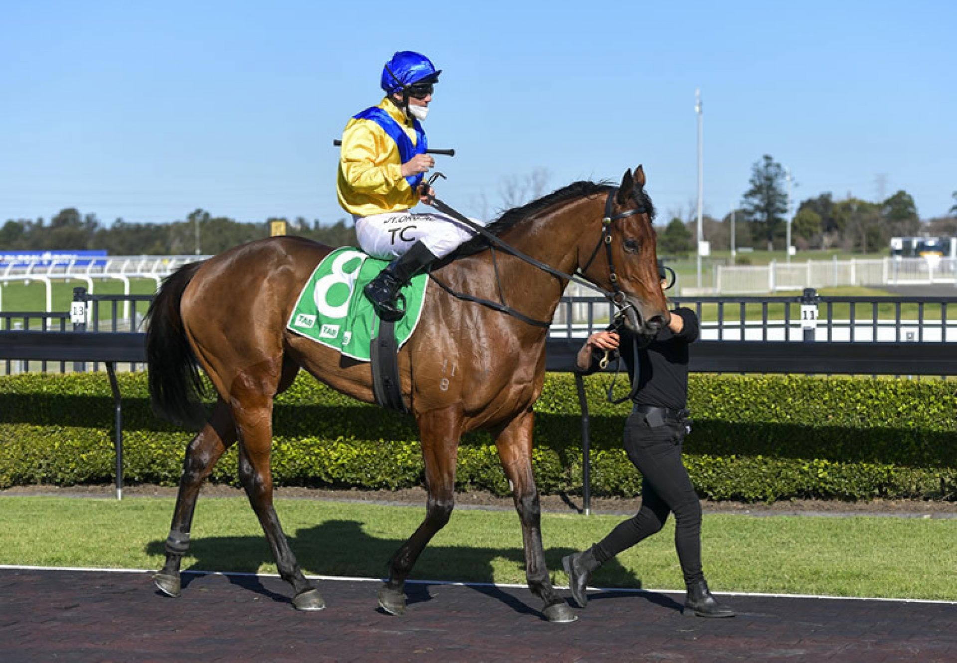 Queen Of Dubai (Pride Of Dubai) winning at Kembla