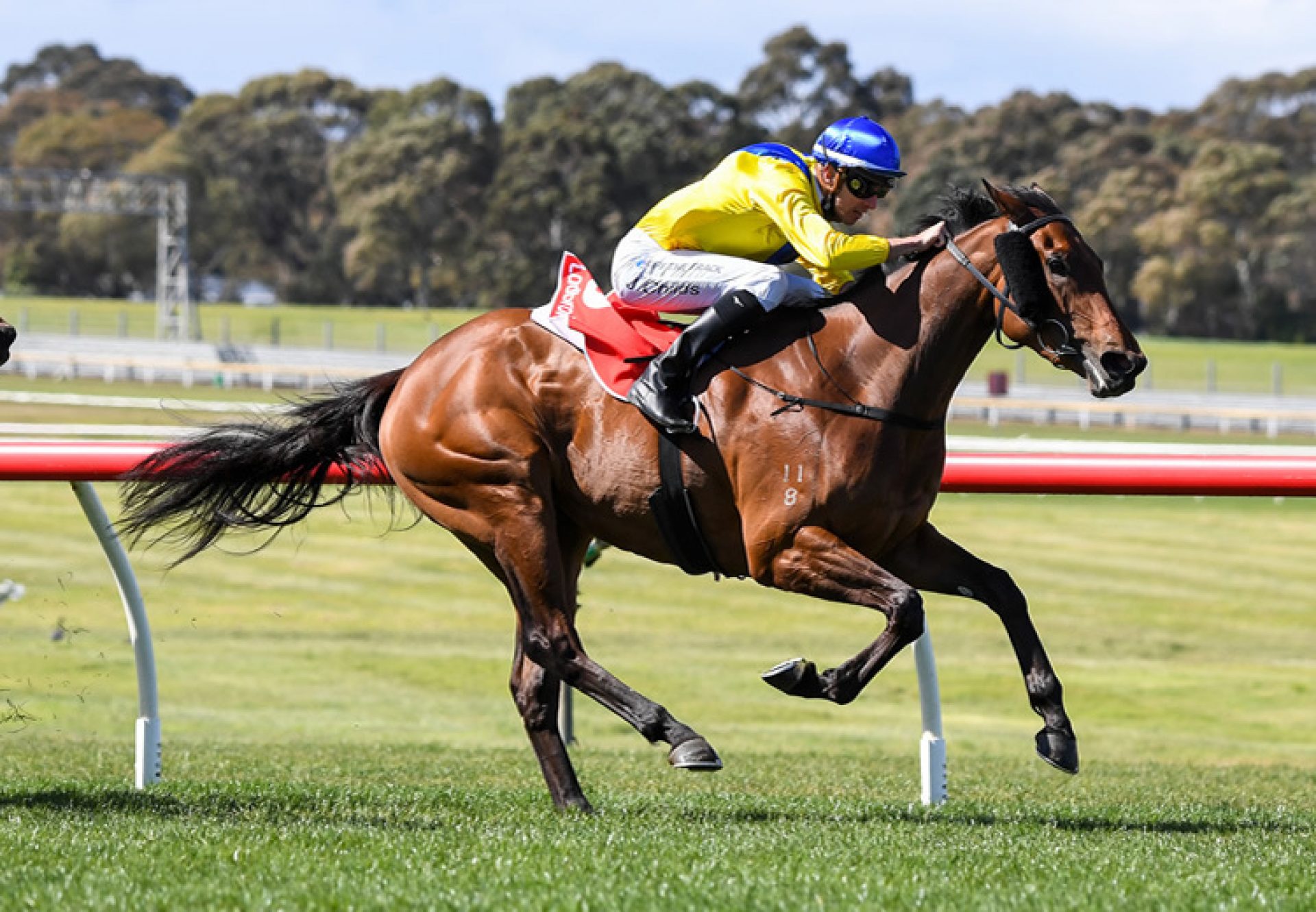 Queen Of Dubai (Pride Of Dubai) winning the Listed Jim Moloney Stakes at Sandown