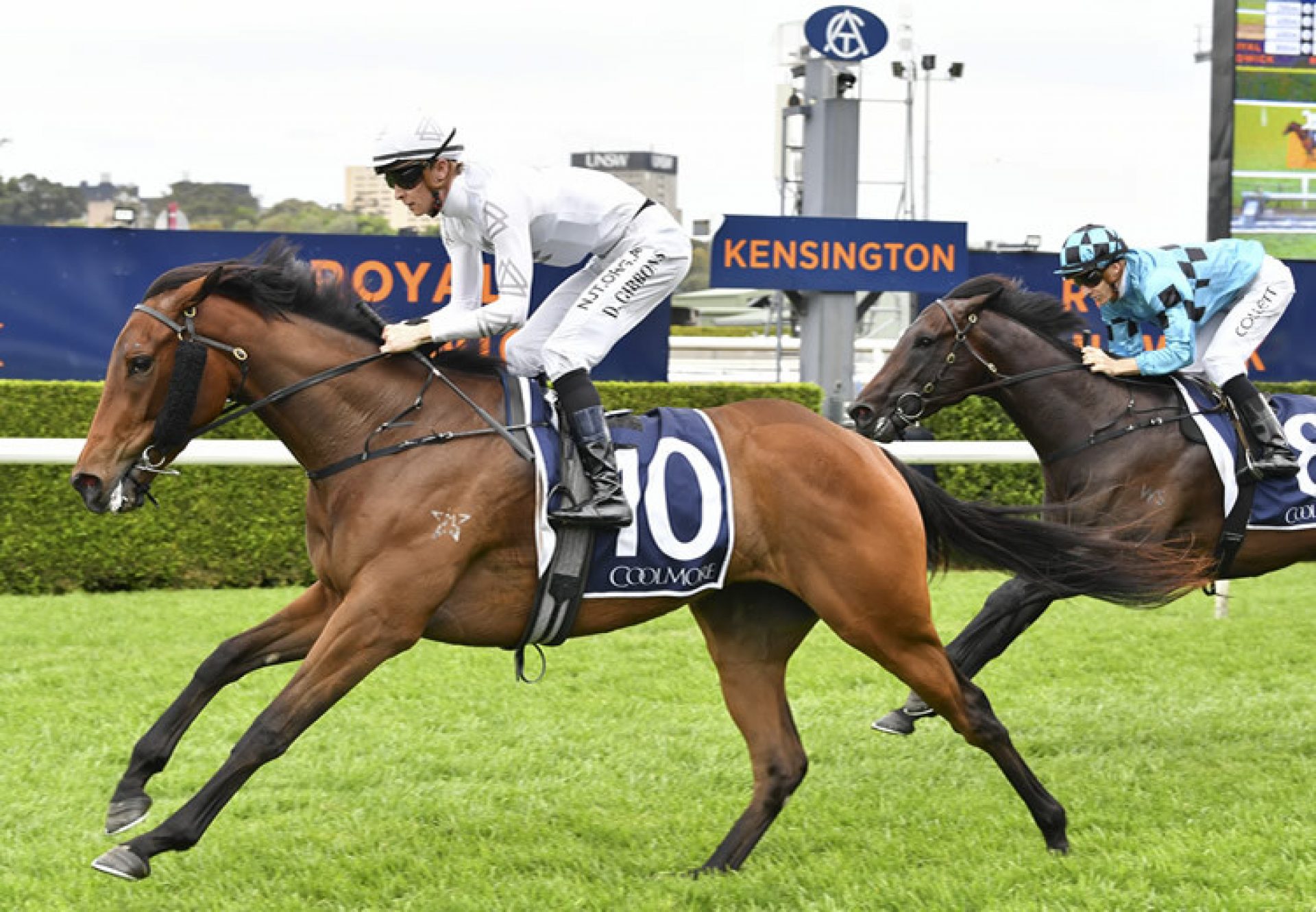 Queen Of Dragons (Pierro) winning at Randwick