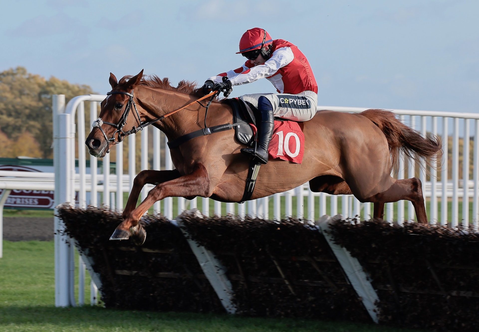 Queens Gamble (Getaway) Wins The Novices Hurdle At Warwick