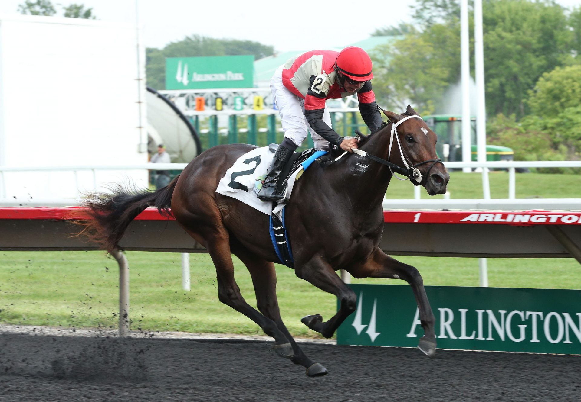 Queens Up (Classic Empire) winning Arlington MSW