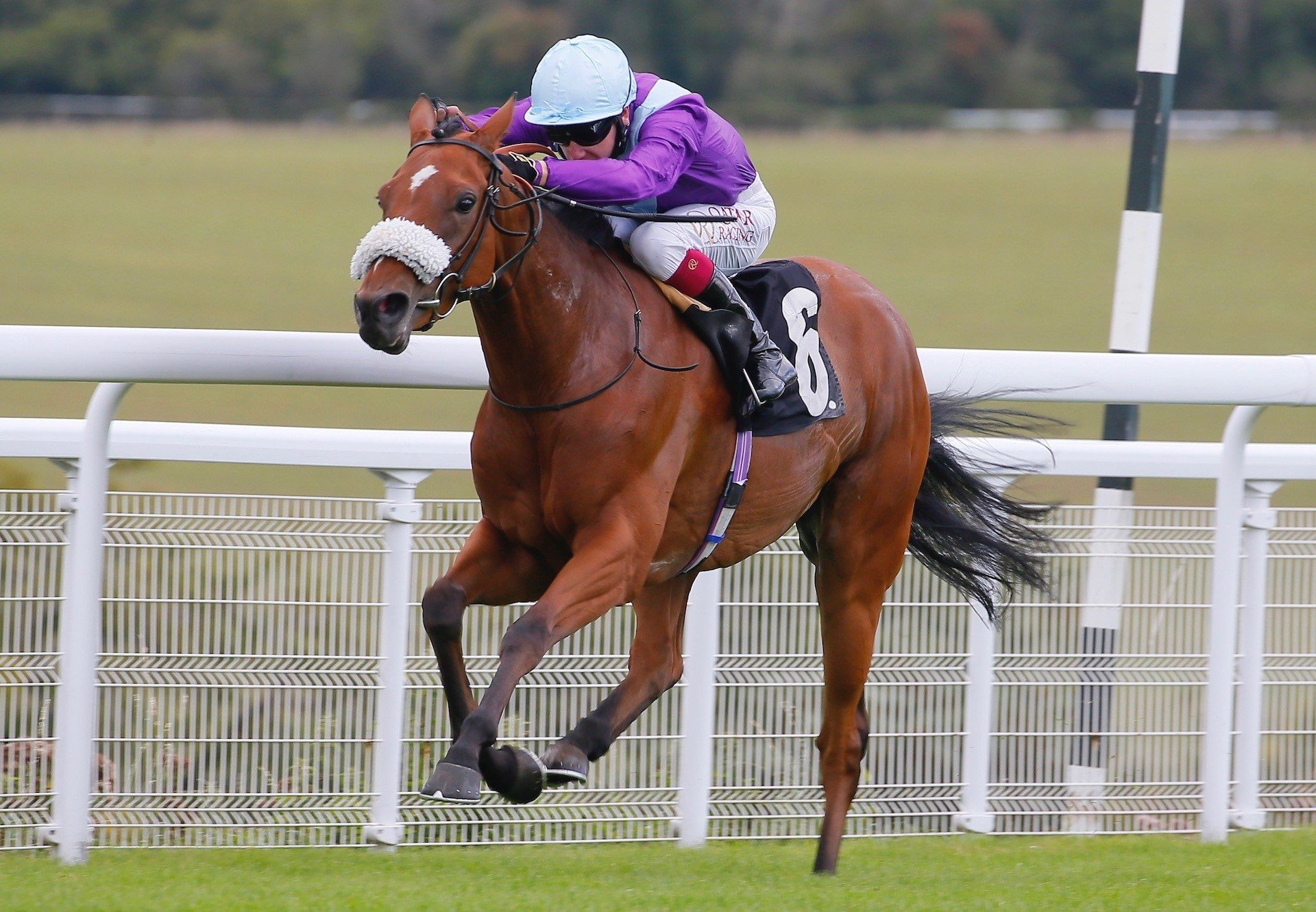 Quickstep Lady (Australia) Wins At Goodwood