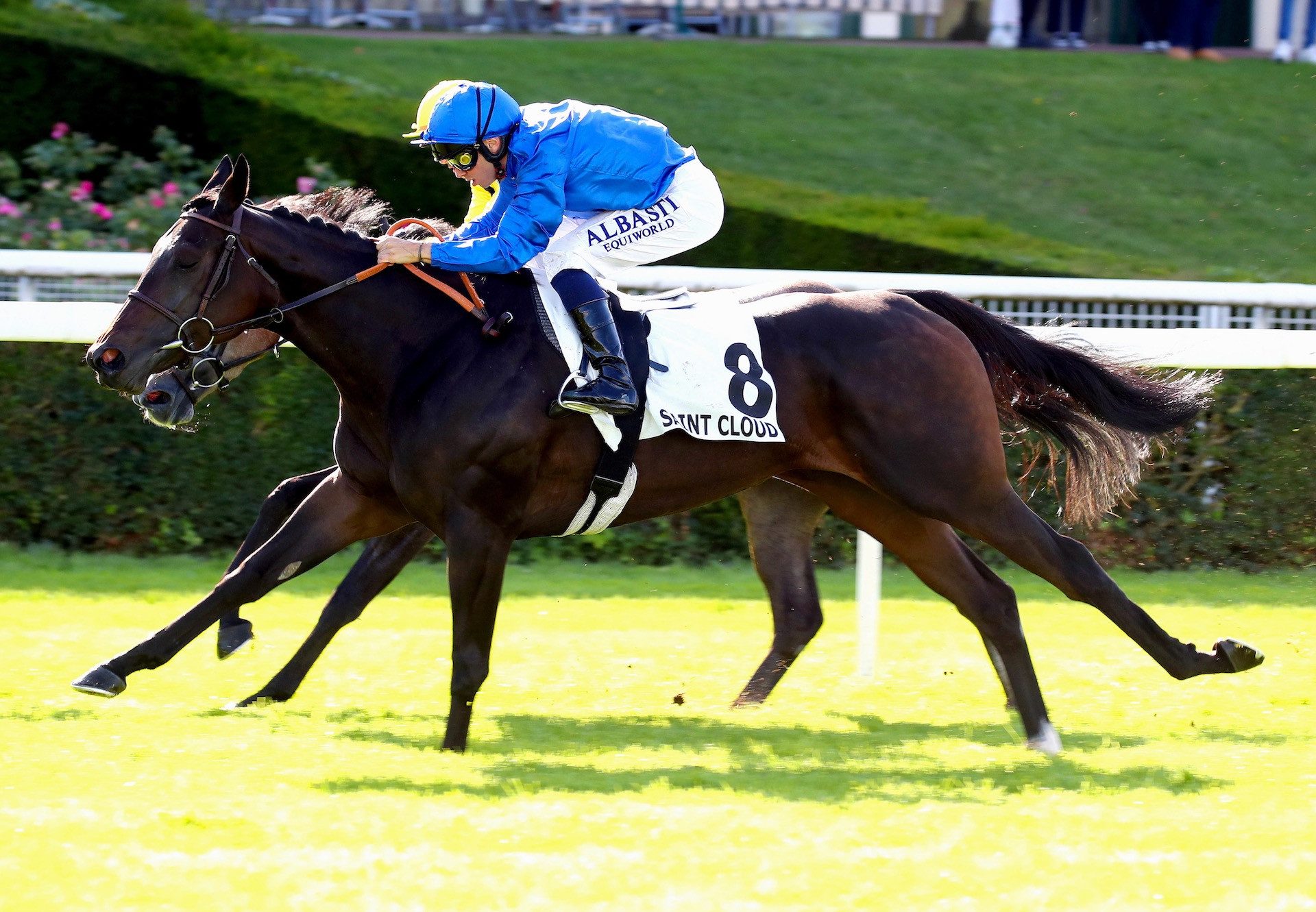 Quickstep (Wootton Bassett) Wins The Listed Prix Coronation at Saint-Cloud