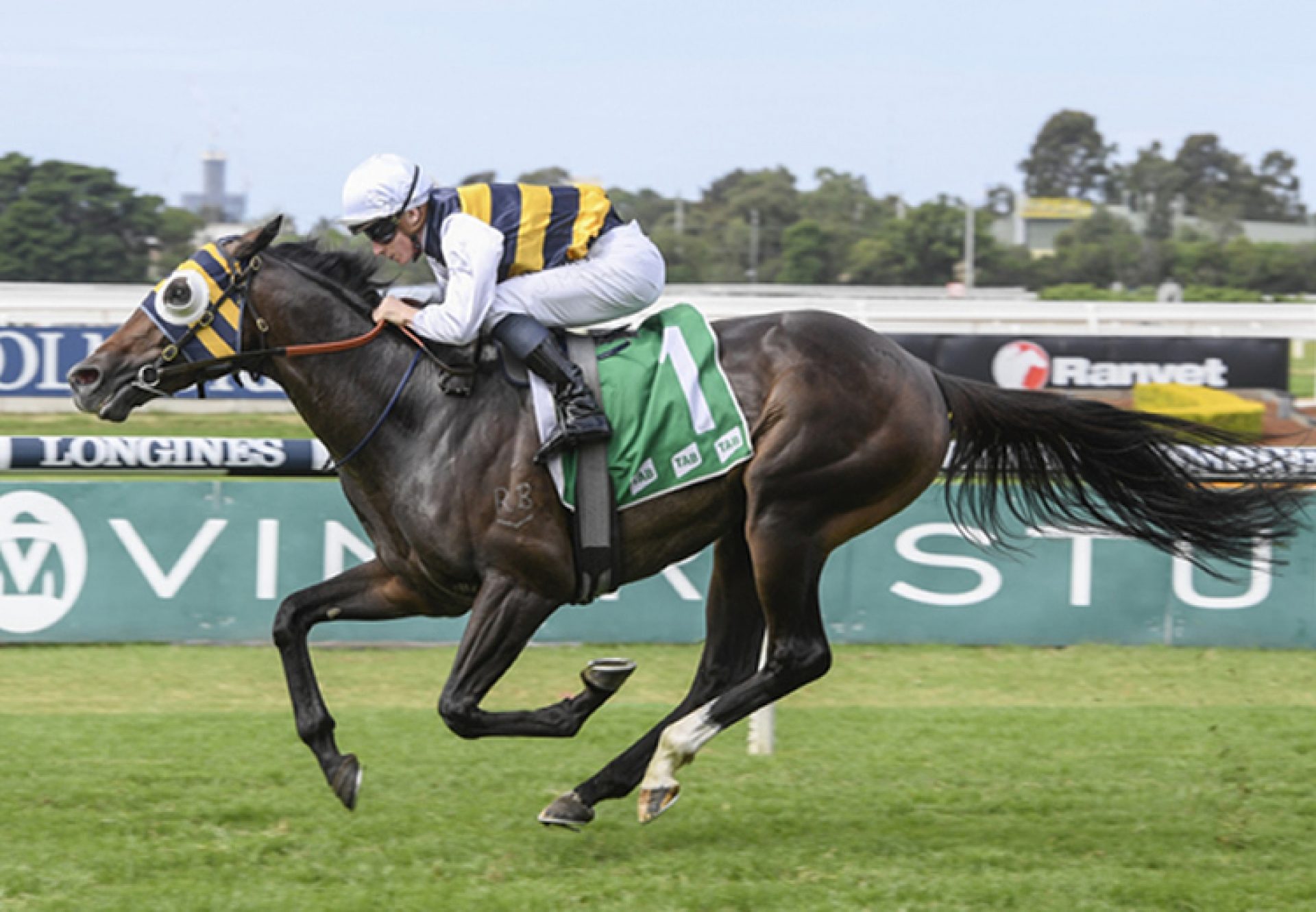 Quick Thinker (So You Think) winning the Gr.2 Tulloch Stakes at Rosehill