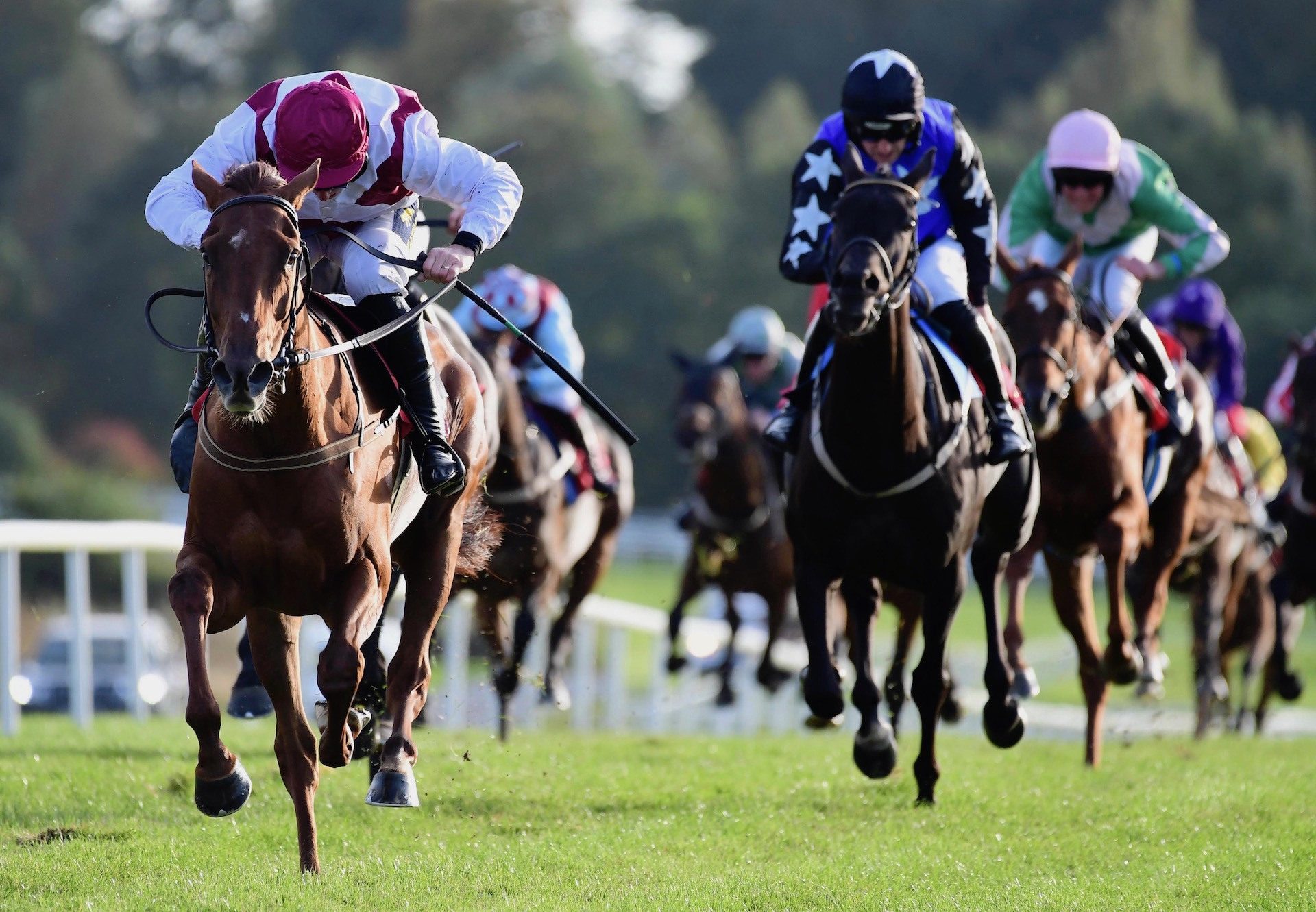 Quiet Escape (Getaway) Wins The Listed Mares Bumper At Gowran Park