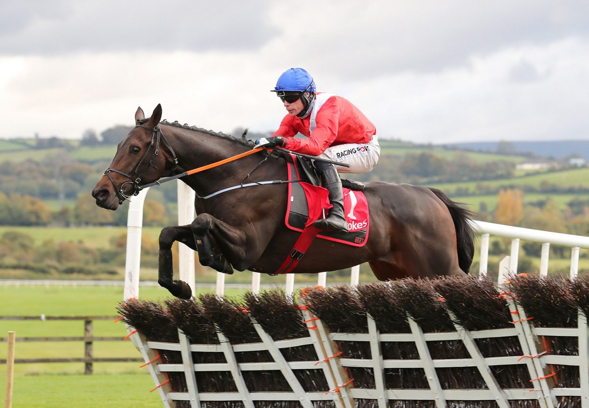 Quilixios (Maxios) Wins 3YO Hurdle At Punchestown