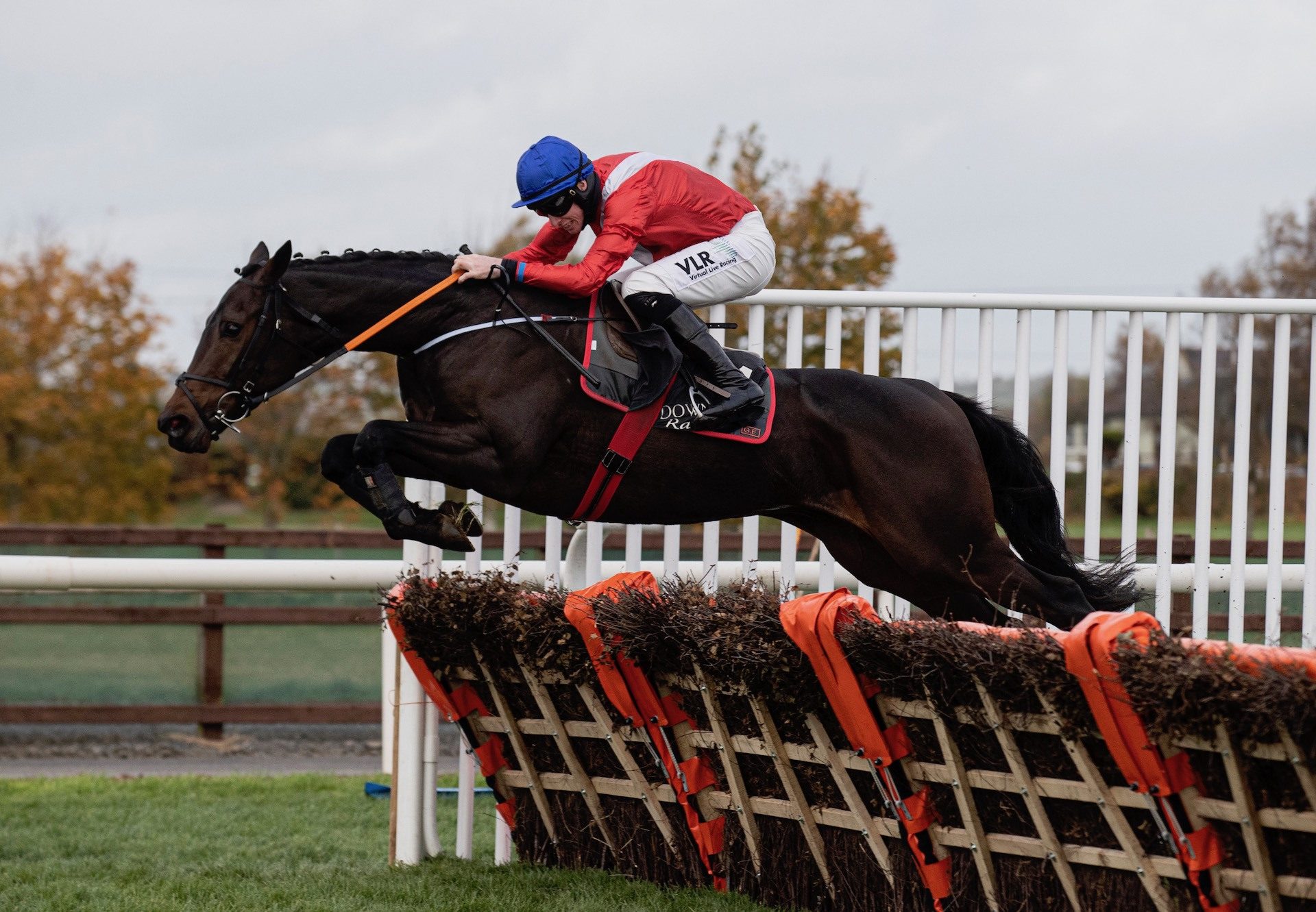 Quilixios (Maxios) Wins The 3YO Hurdle At Down Royal