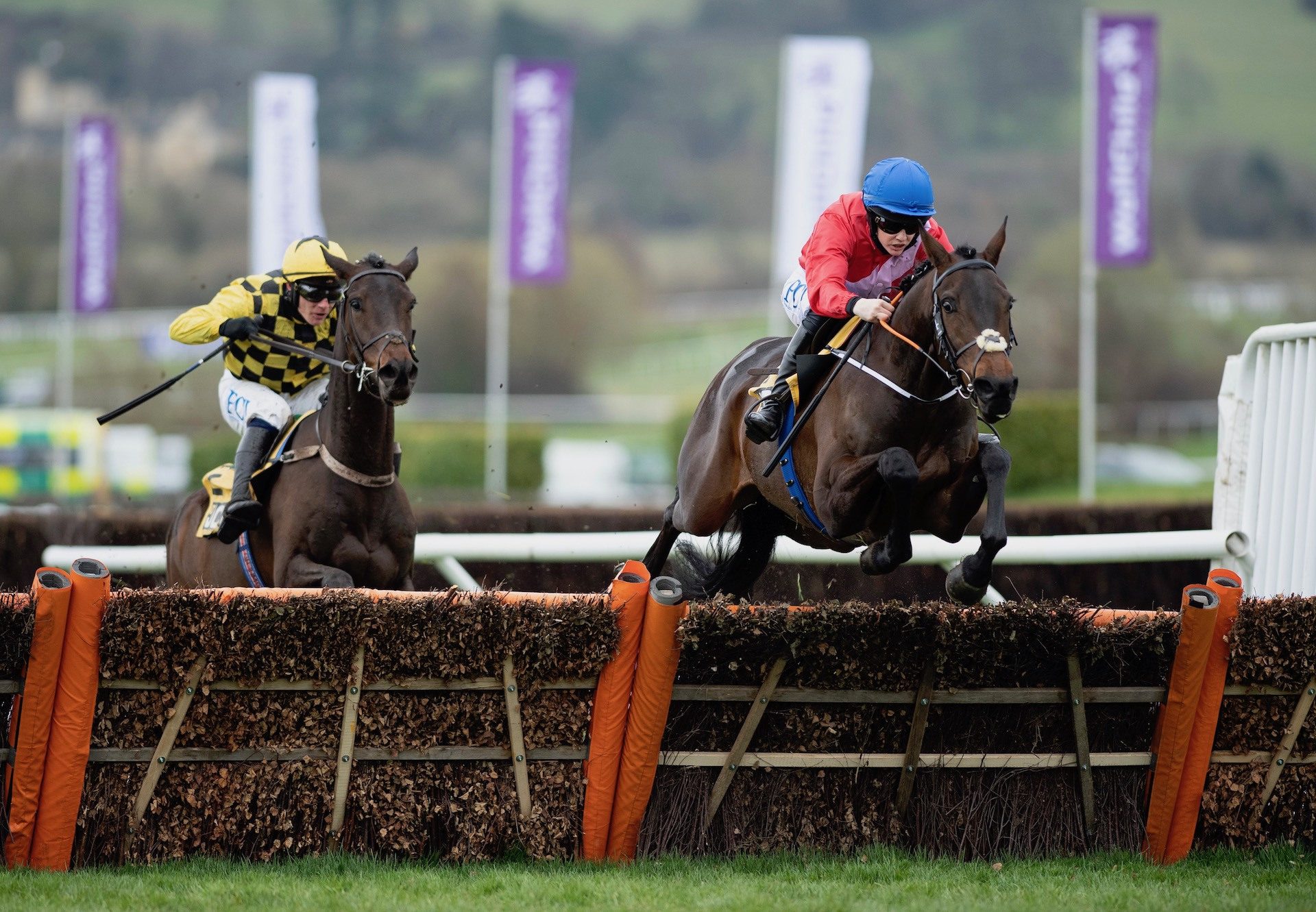 Quilixios (Maxios) Wins The Grade 1 Triumph Hurdle At Cheltenham