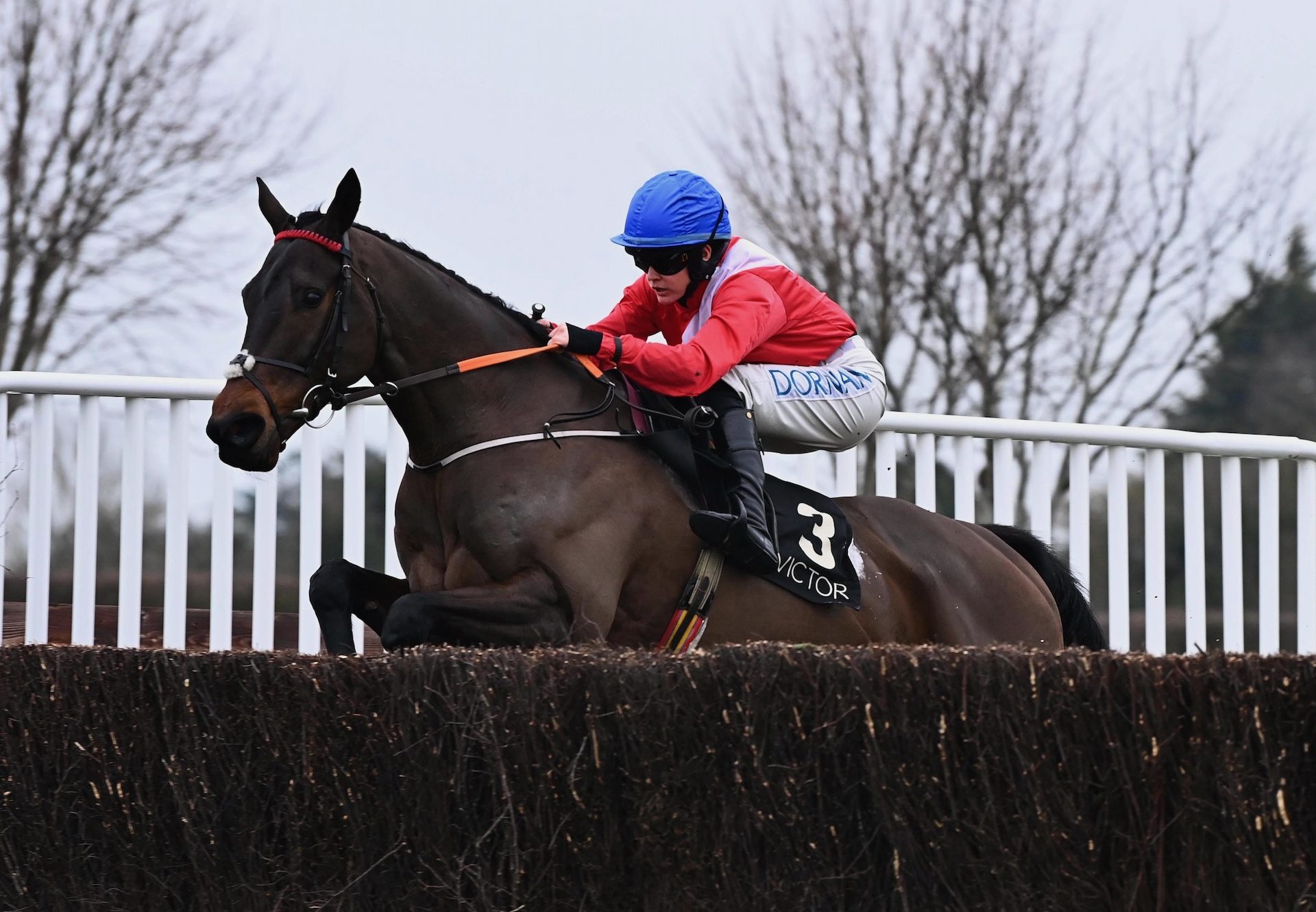 Quilixios (Maxios) Wins The Novice Chase At Naas