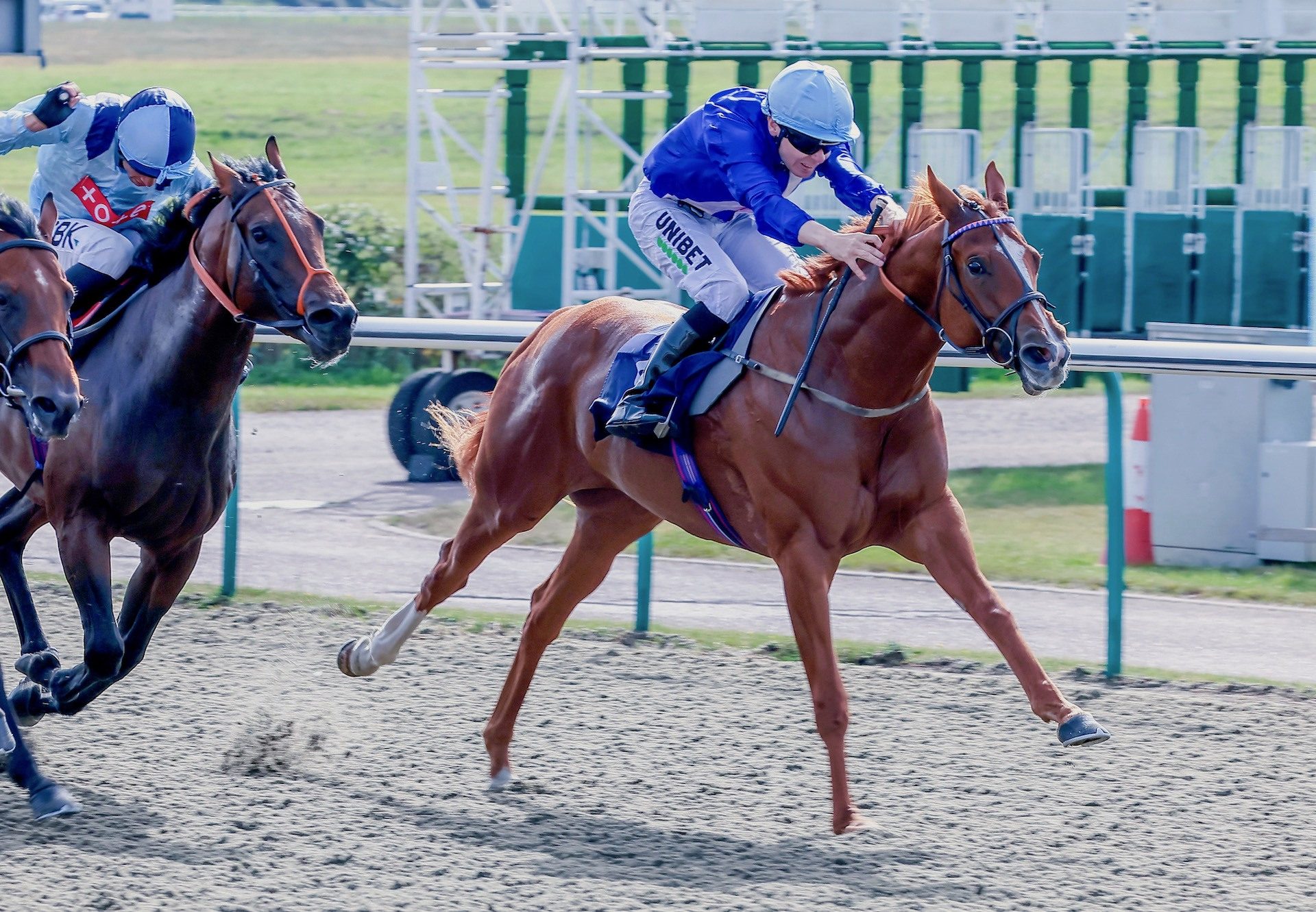 Rainyniteingeorgia (Starspangledbanner) wins at Lingfield