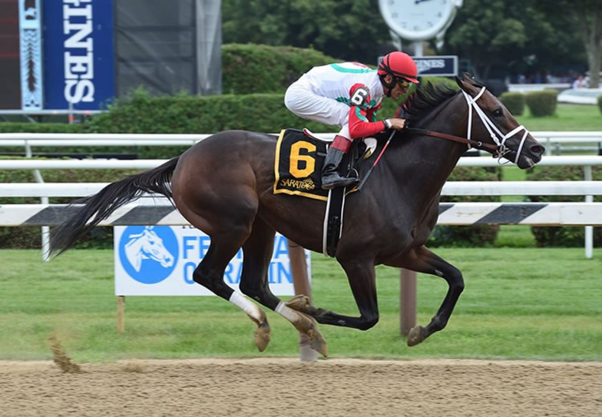 saratoga-stakes-winner-for-uncle-mo