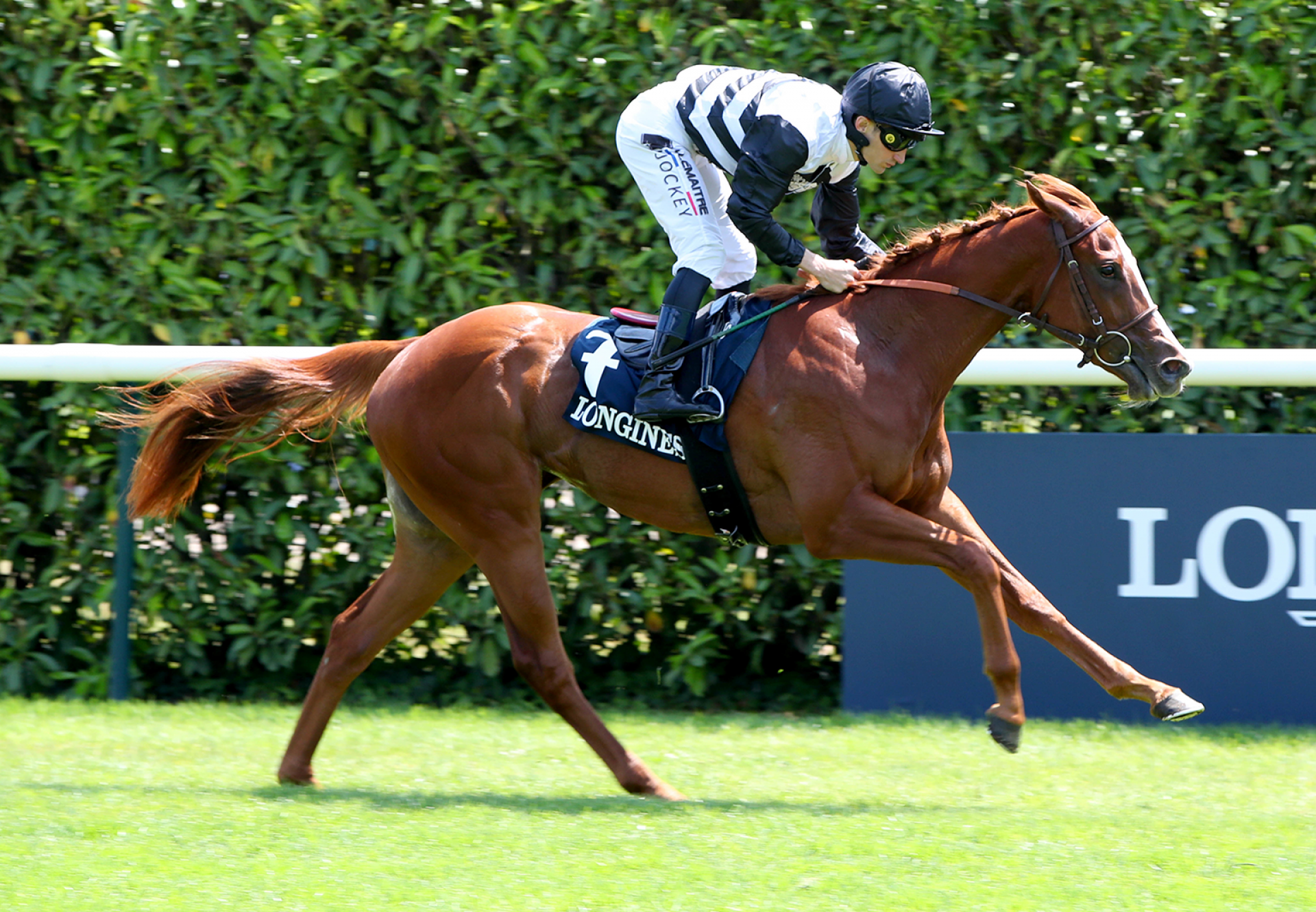 Ramatuelle (Justify) Wins Gr.3 Prix Bois at Chantilly