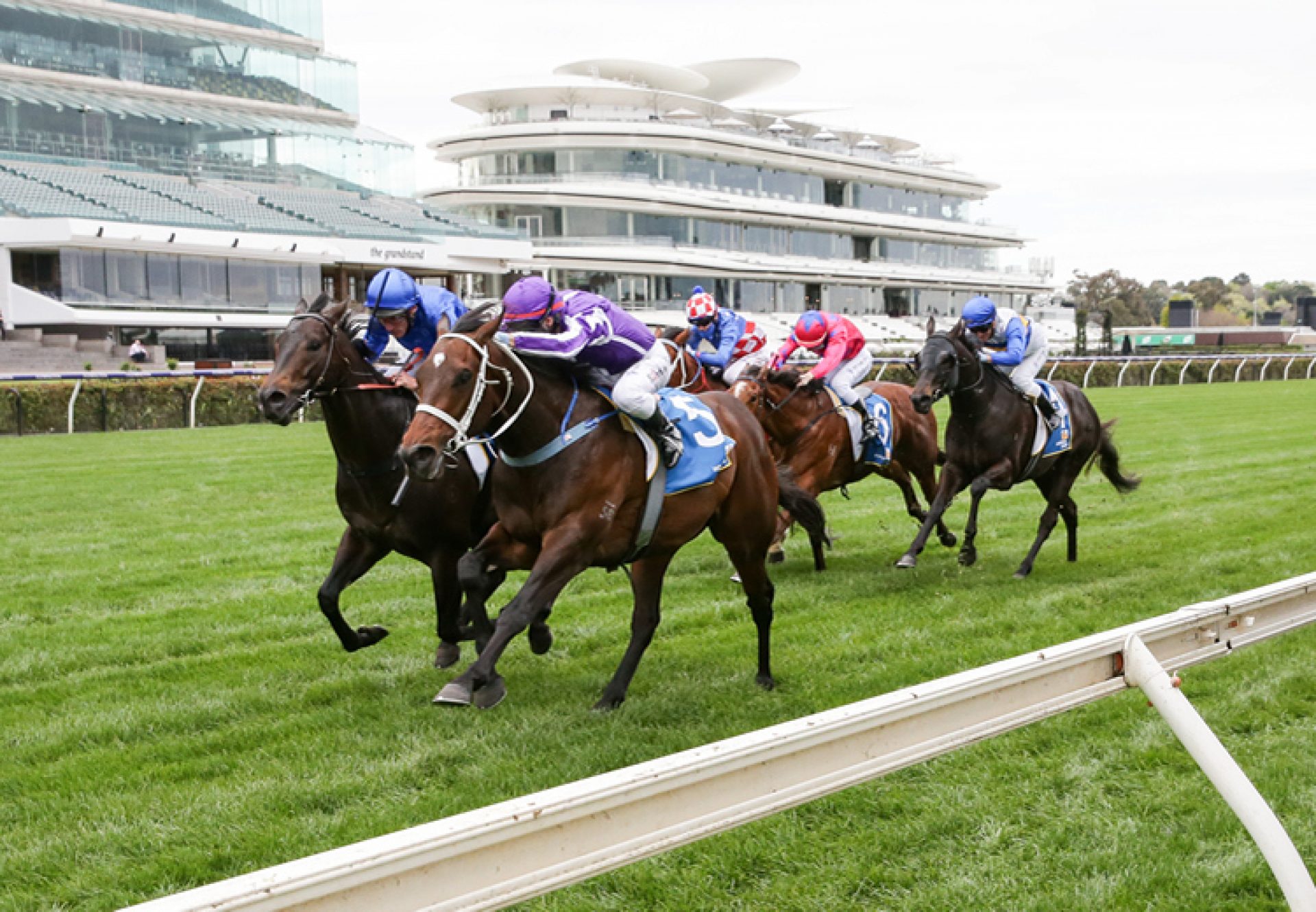 Ranch Hand (Fastnet Rock) winning the Listed Poseidon Stakes at Flemington