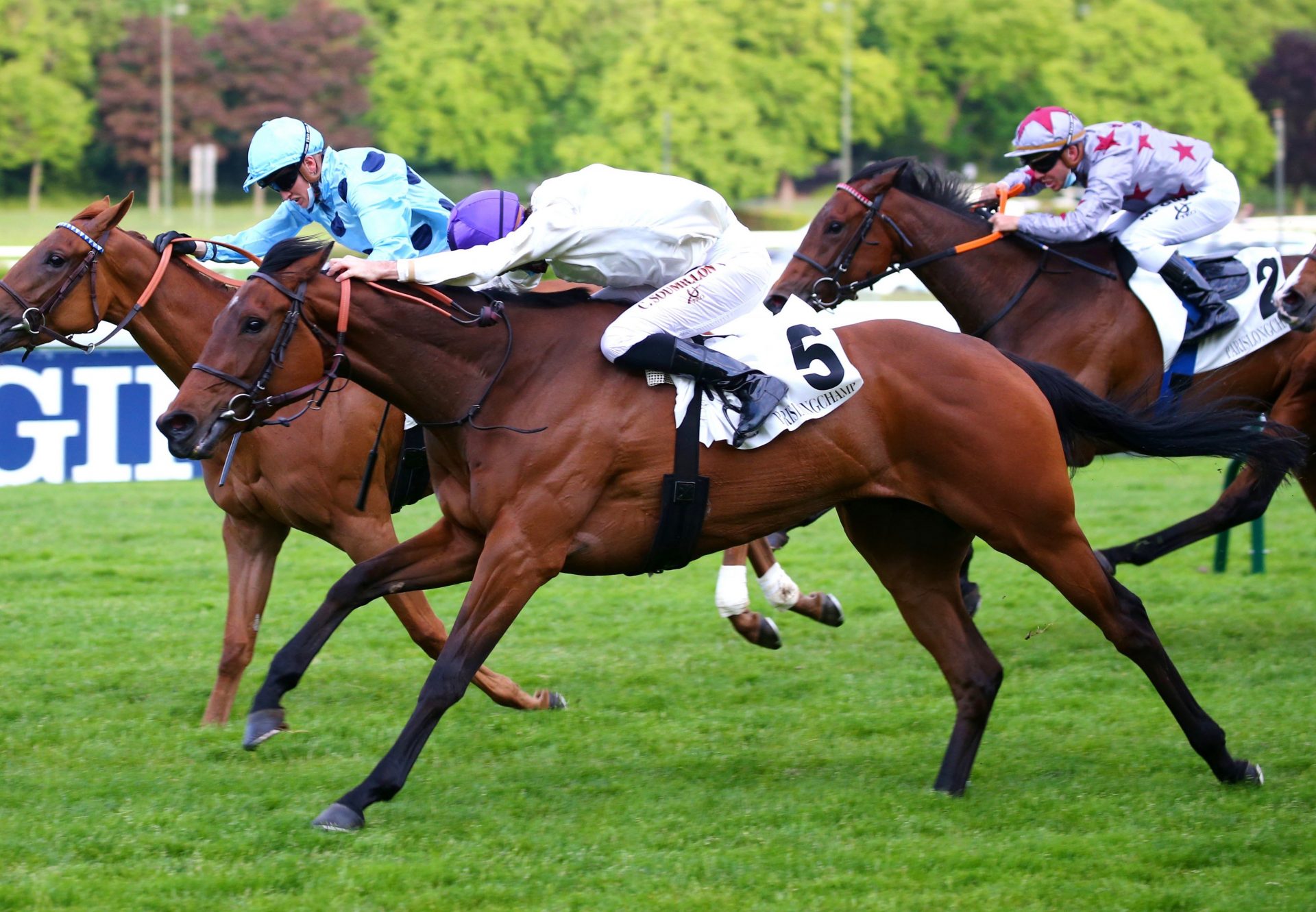 Ranes (Vadamos) Wins The Prix De La Megisserie At Longchamp