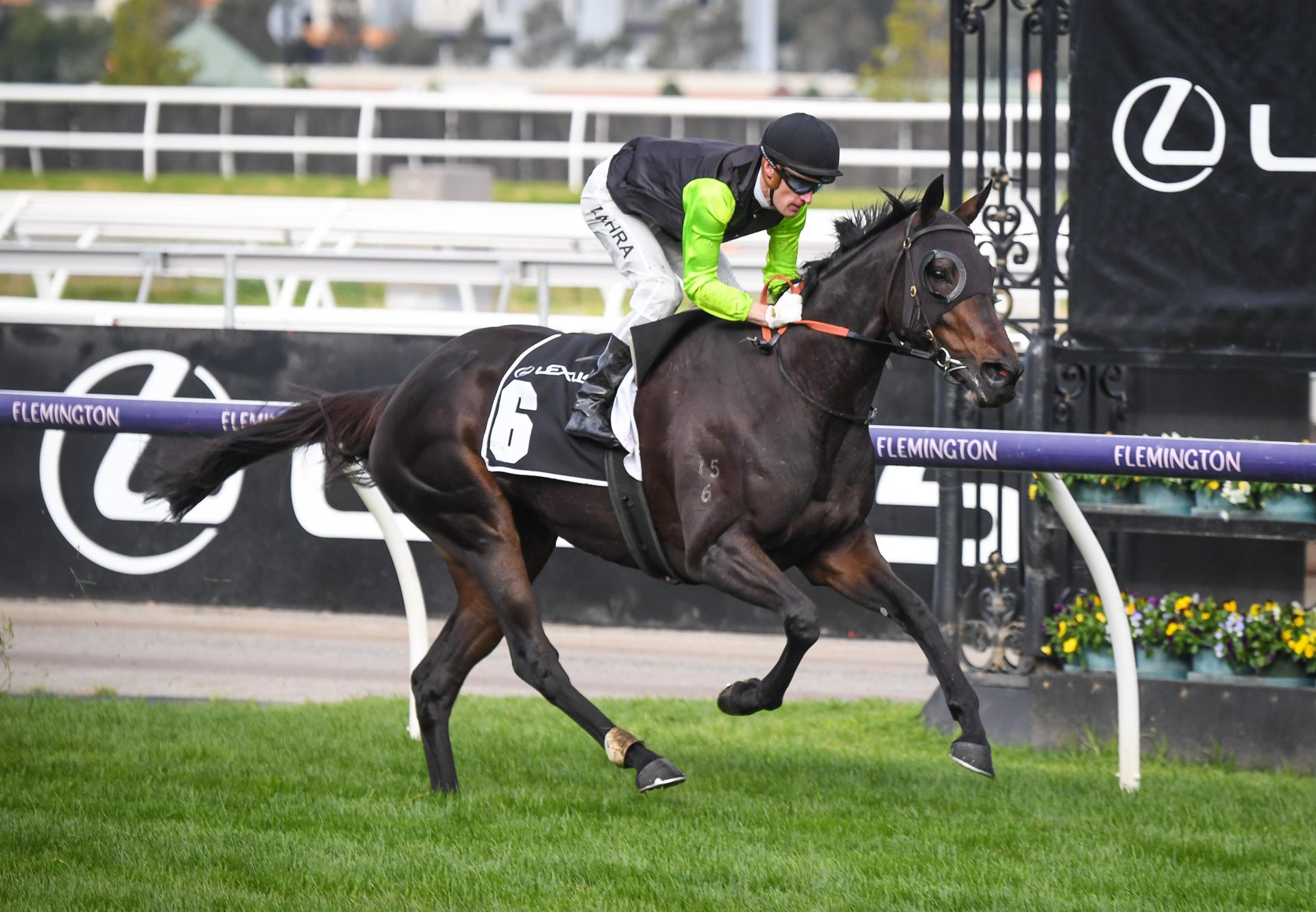 Realm Of Flowers (So You Think) winning the Gr.3 Ramsden Stakes at Flemington
