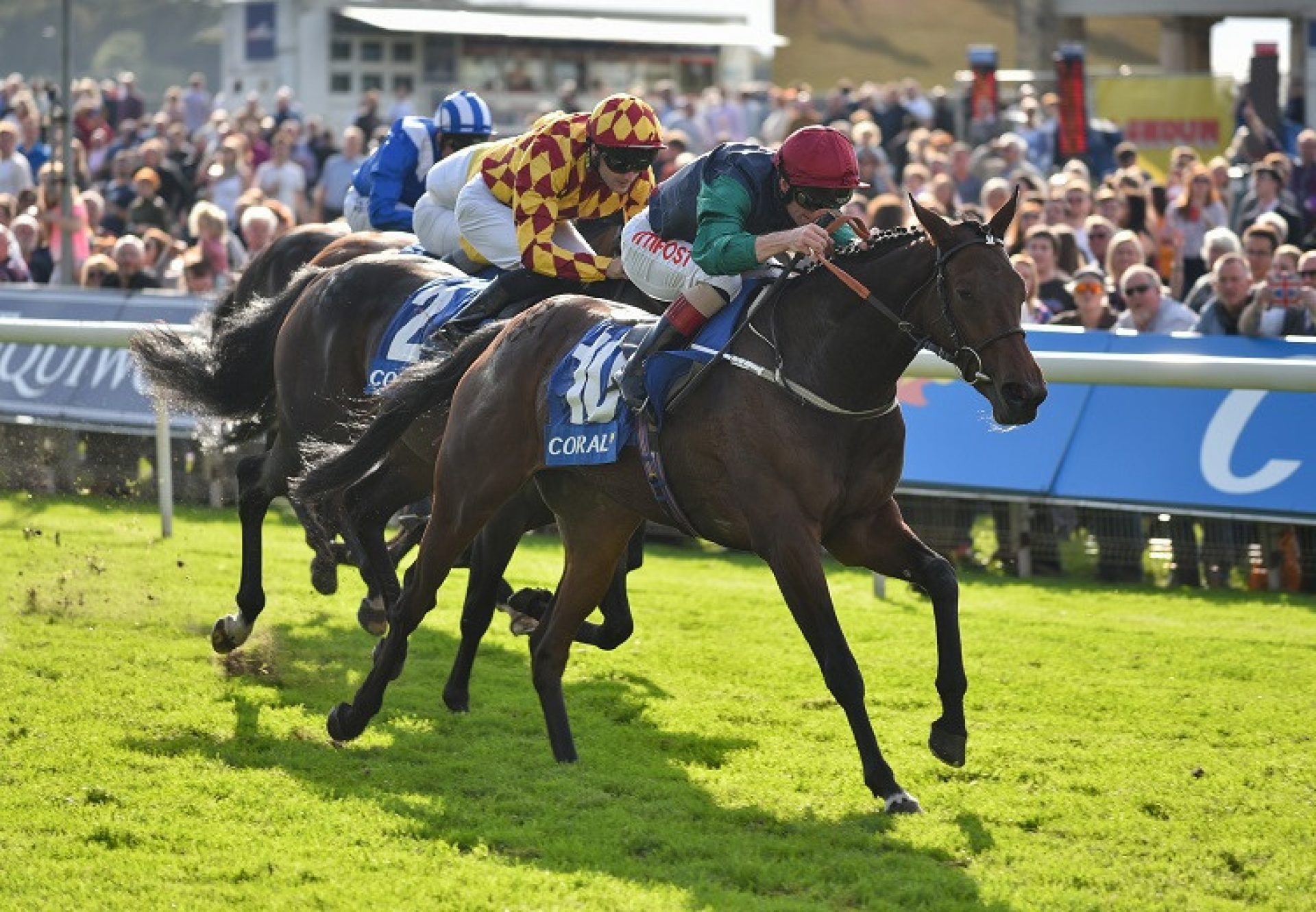 Rebel Assault Rockingham Stakes Web