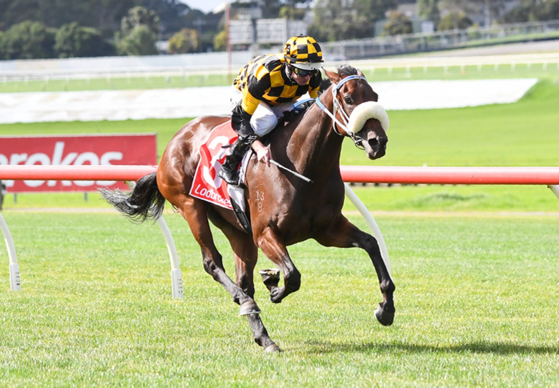 Rebels Choice (Pierro) winning at Sandown