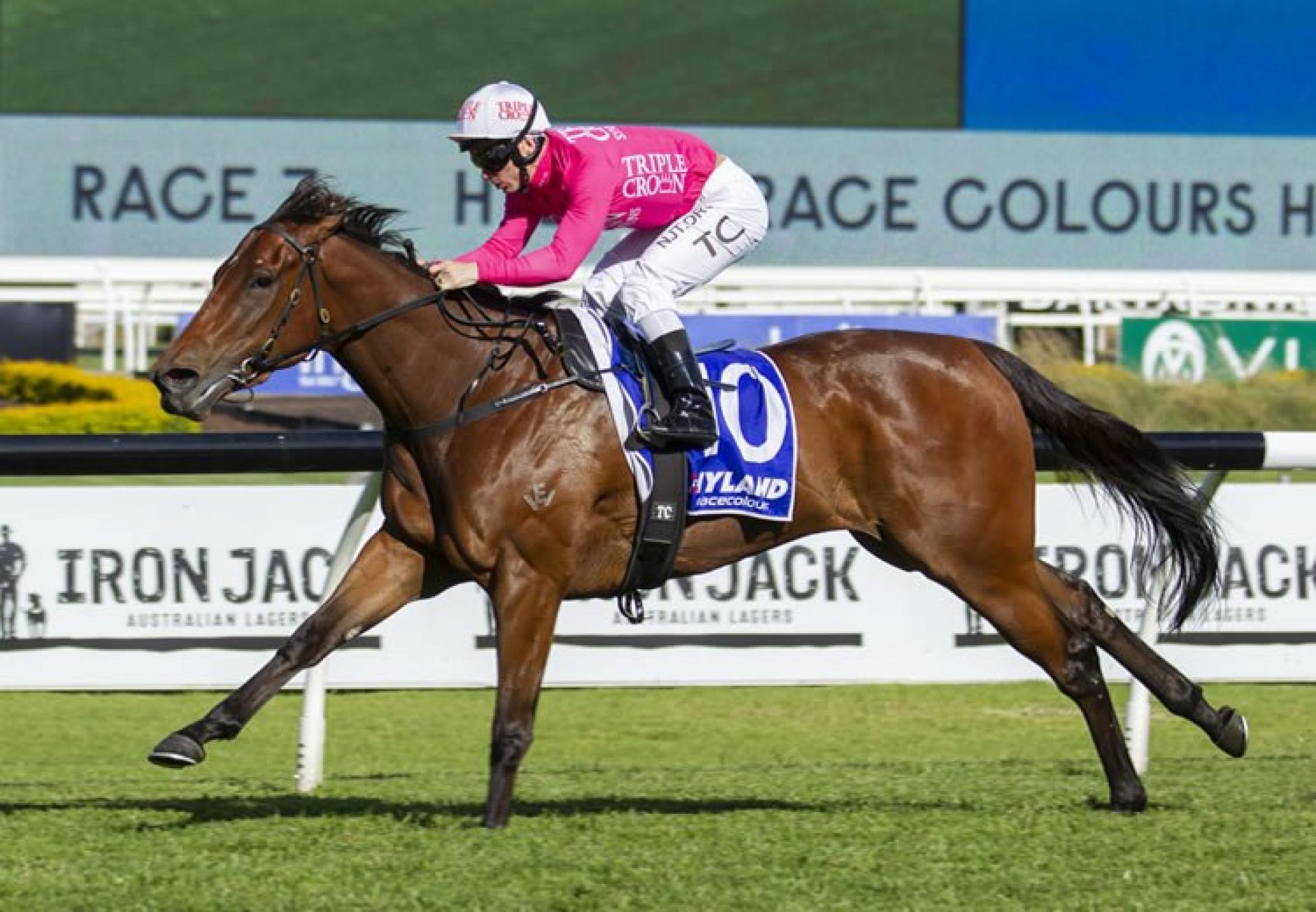 Reelem In Ruby (Pierro) winning the Gr.2 Hot Danish Stakes at Rosehill