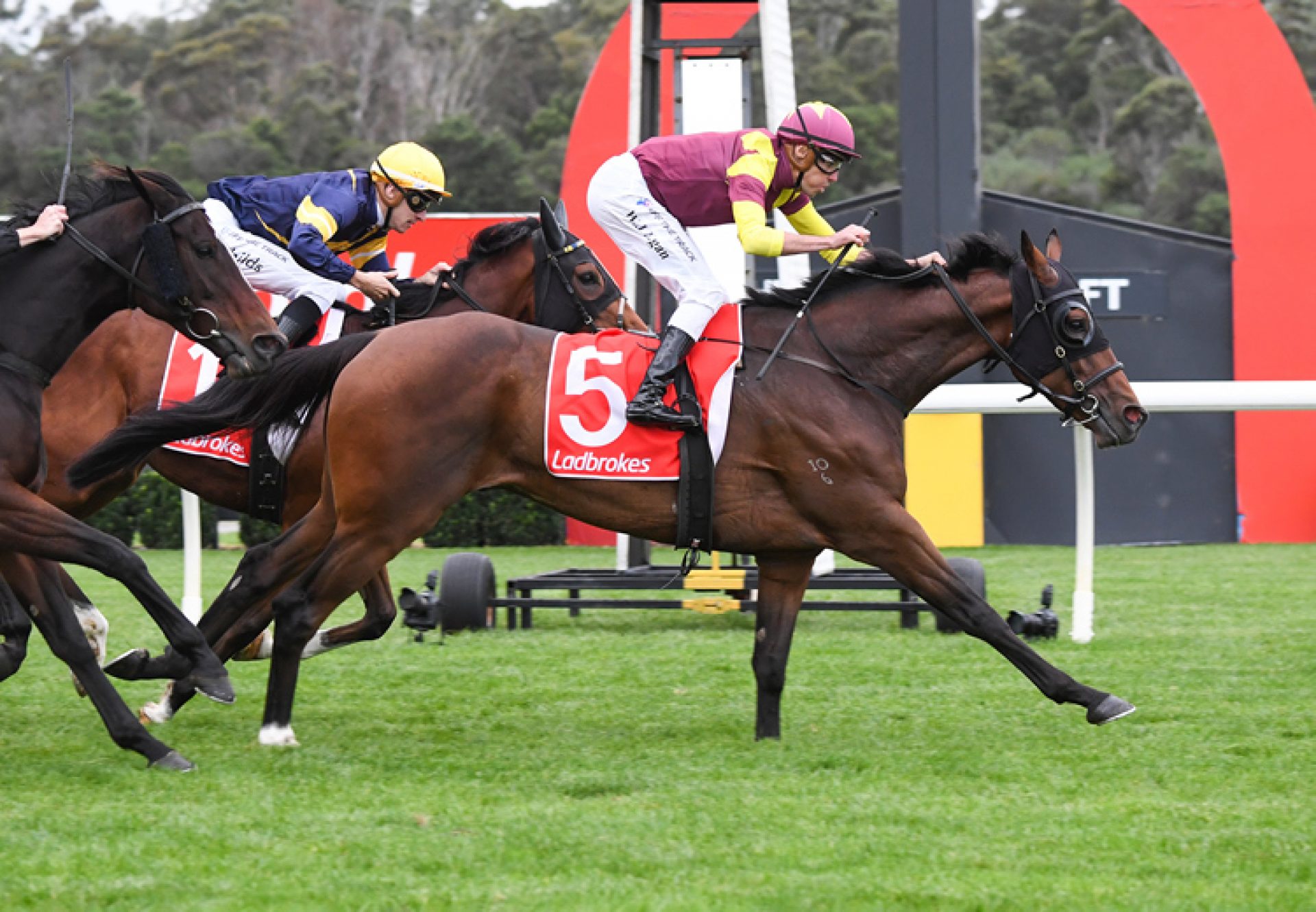 Regardsmaree (So You Think) winning the Listed Ladbrokes Anniversary Vase at Sandown