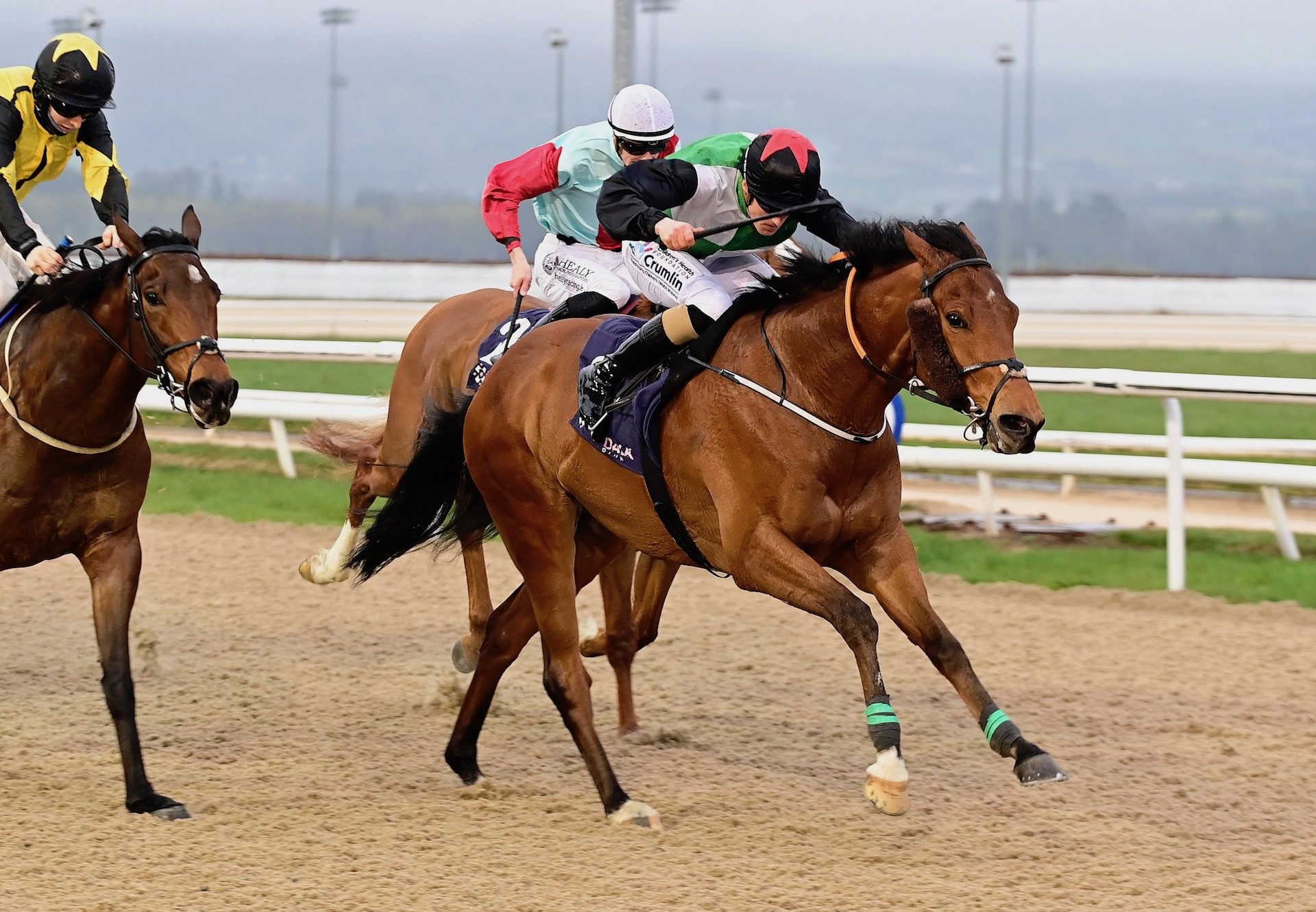 Relevant Range (Starspangledbanner) Wins His Maiden At Dundalk