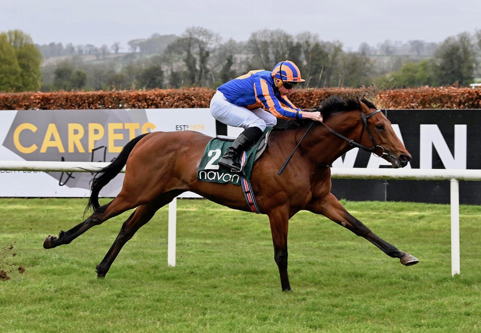 River Tiber (Wootton Bassett) wins at Navan