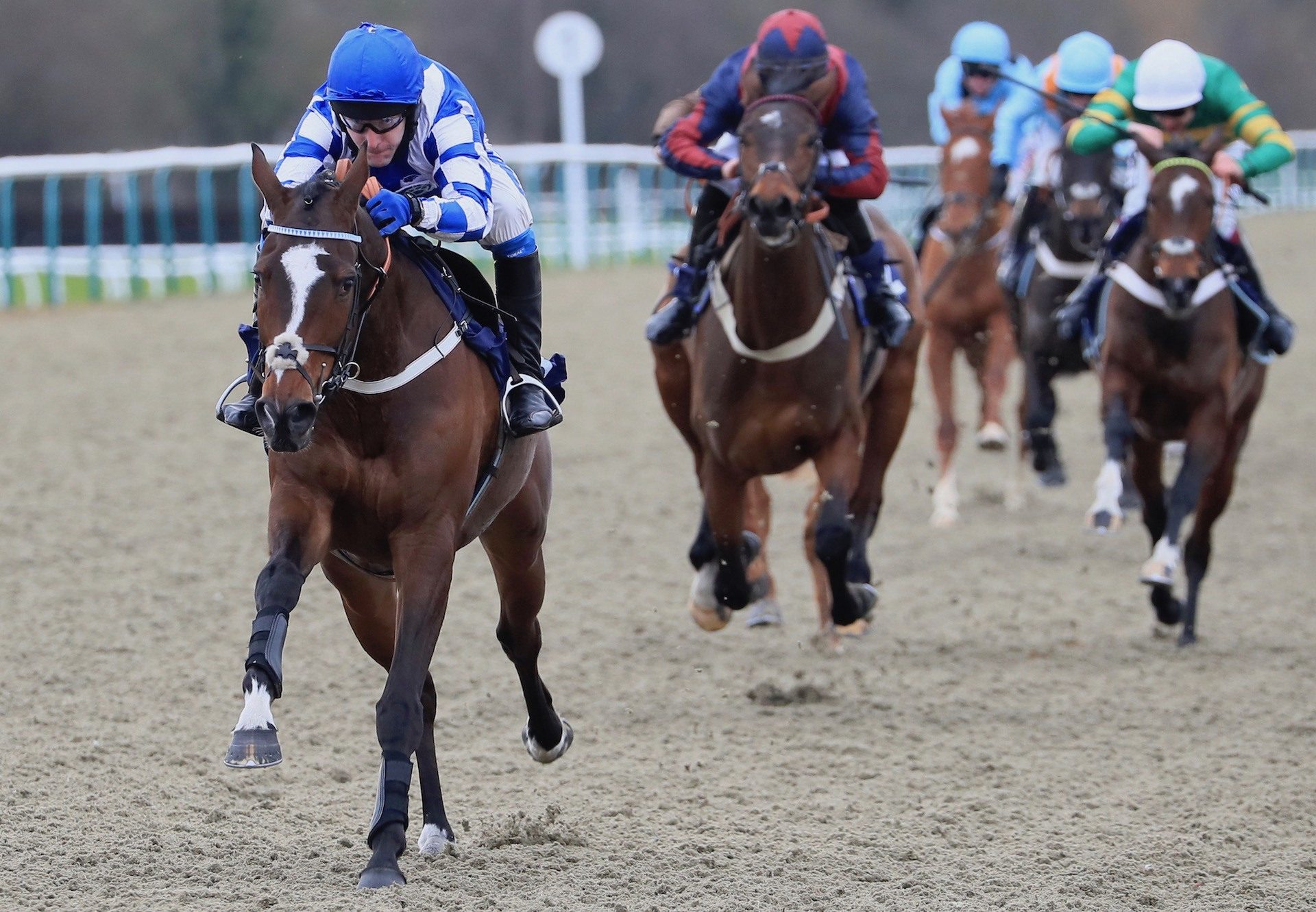 Robelli (Getaway) Wins The Bumper At Lingfield