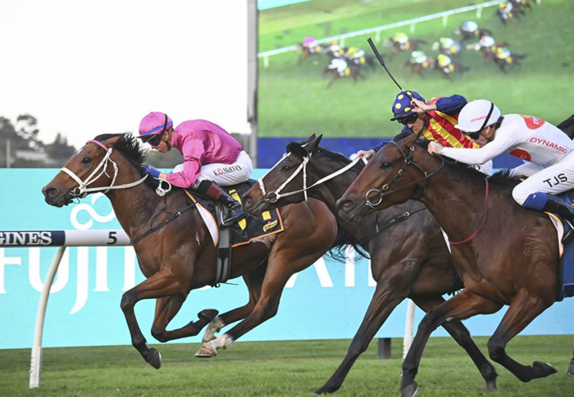 Robusto (Churchill) winning at Rosehill