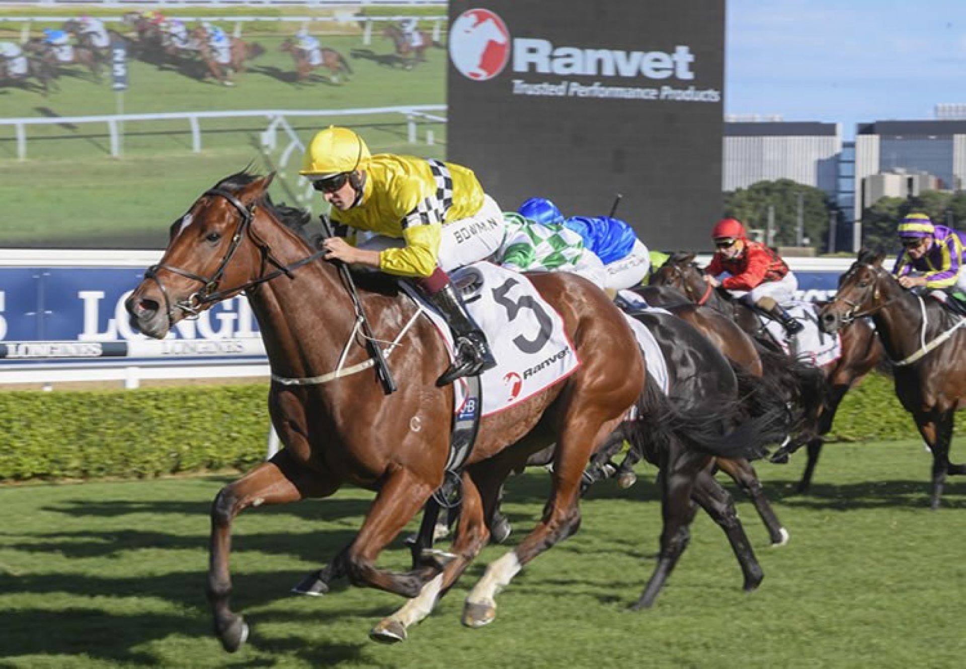 Rocha Clock (Pierro) winning at Randwick