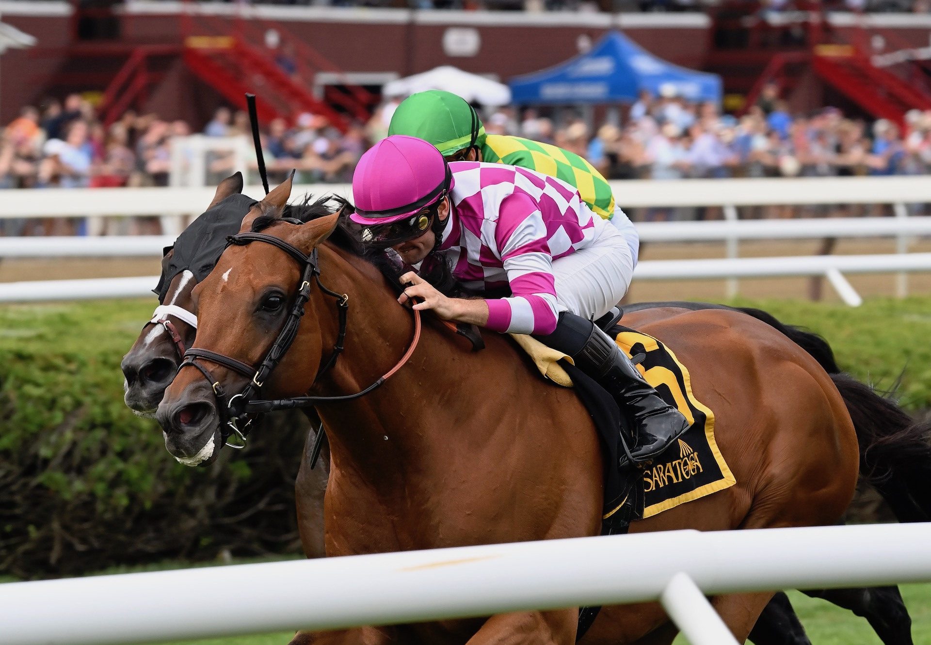 Rock Emperor (Holy Roman Emperor) Wins The Grade 2 Bowling Green Stakes At Saratoga