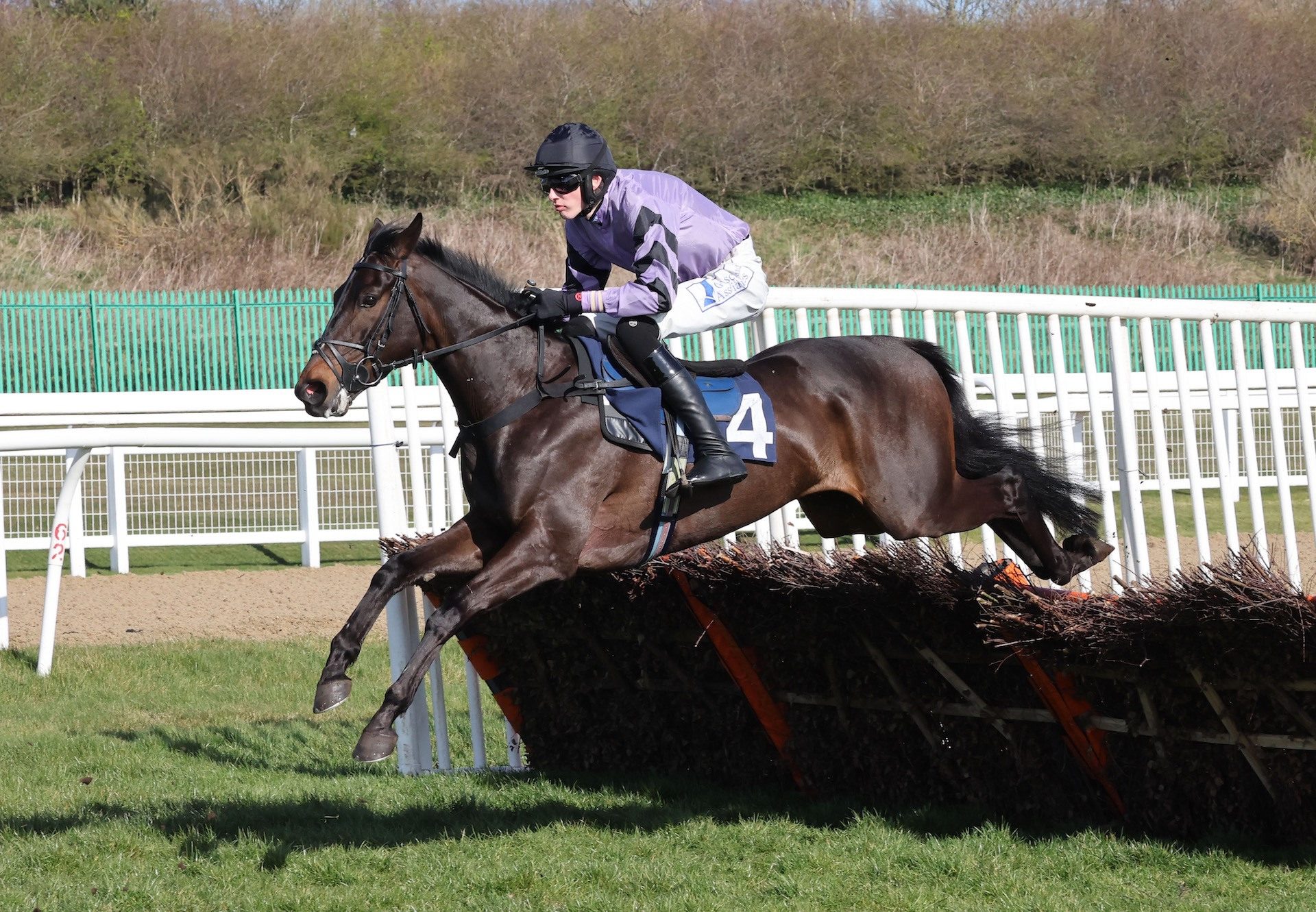 Rock Legend (Maxios) Wins The Novices Hurdle At Newcastle