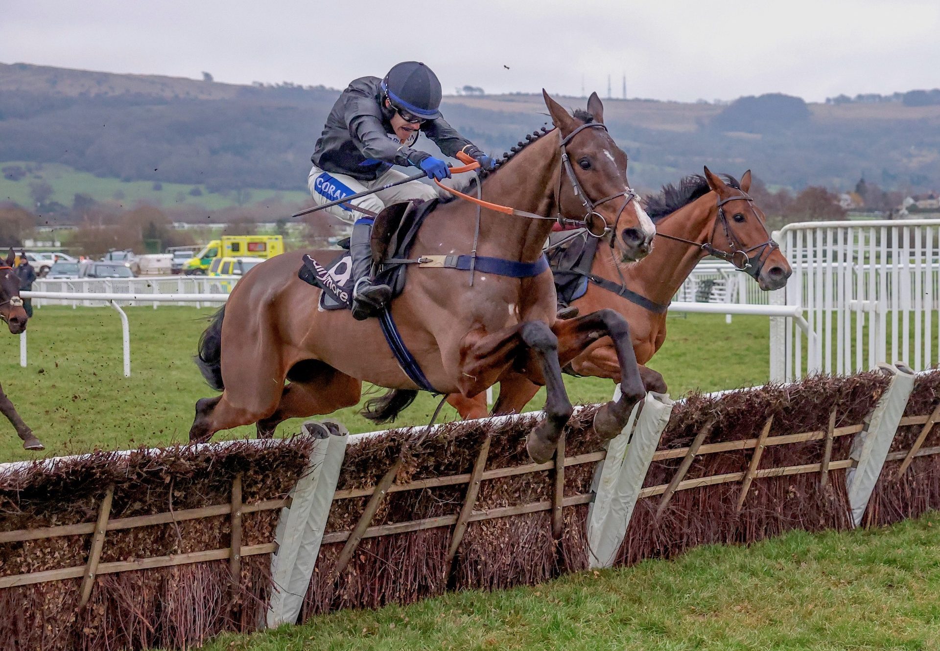 Rock My Way (Getaway) Wins The Grade 2 Ballymore Novices Hurdle at Cheltenham