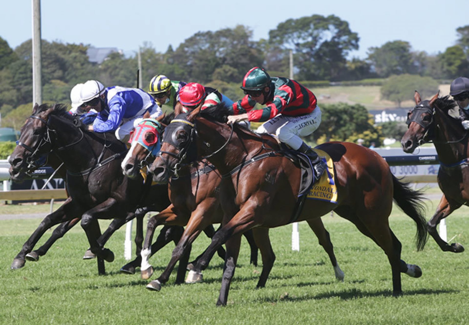 Rocket Spade (Fastnet Rock) winning the Gr.2 Avondale Guineas at Ellerslie