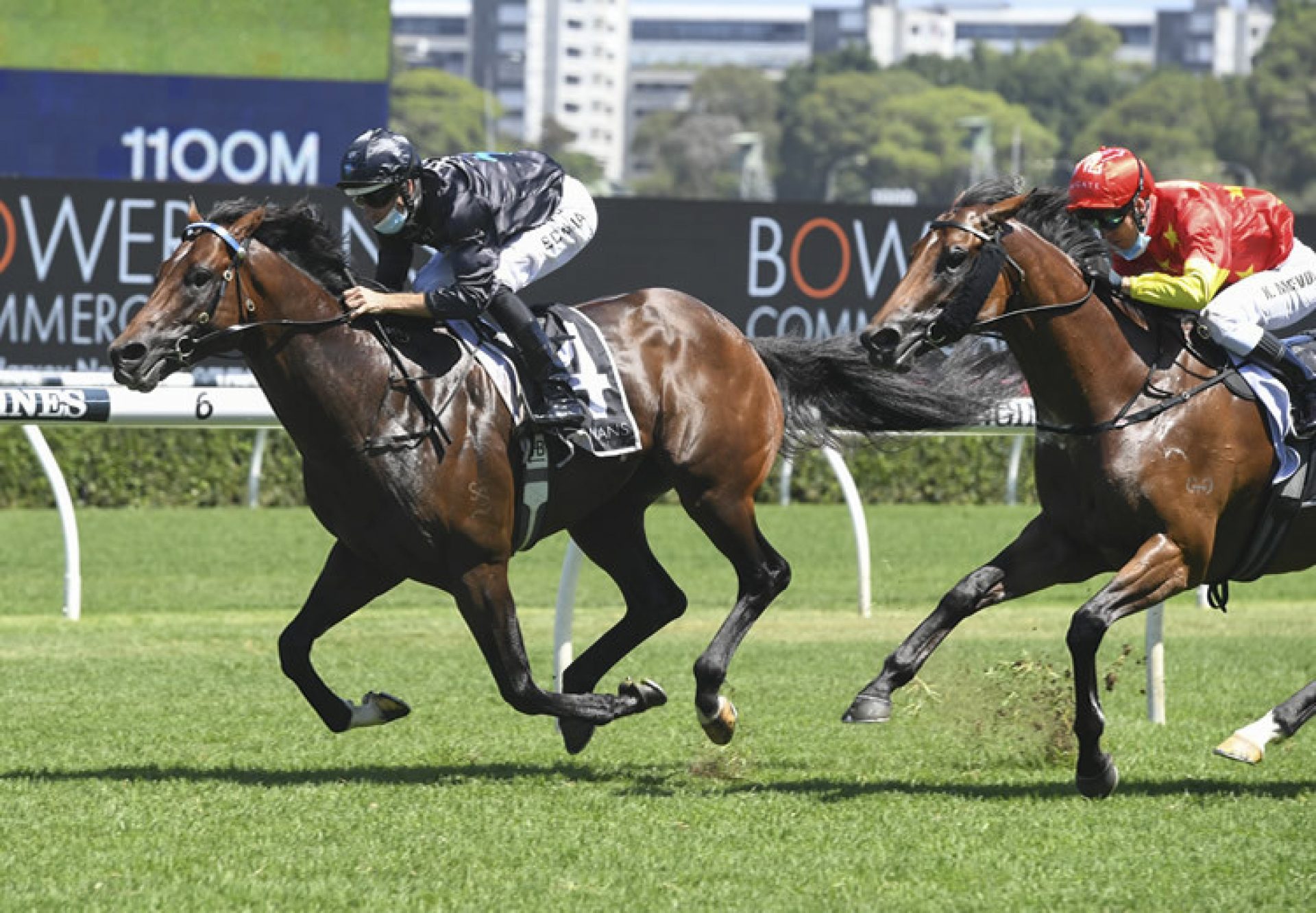 Rocketing (So You Think) winning at Randwick