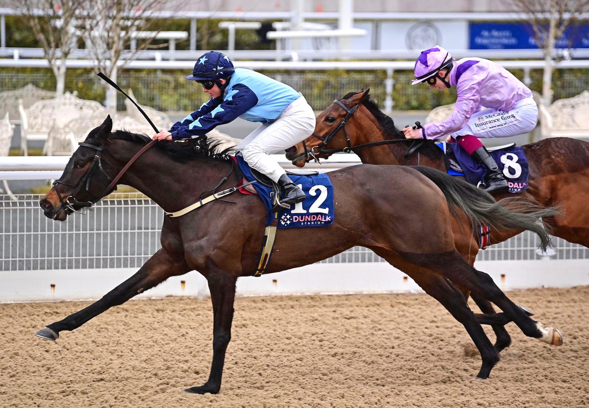 Rockview Consort (Camelot) Wins Her Maiden At Dundalk