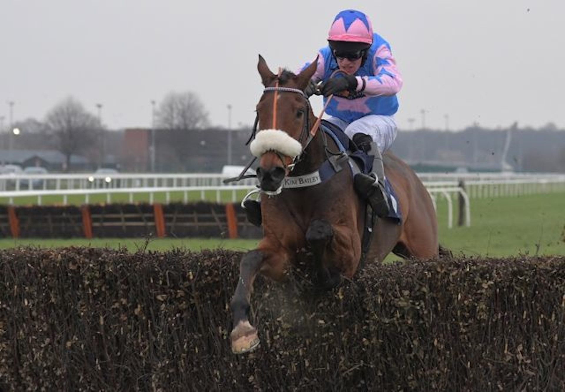 Rockys Treasure (Westerner) Blows Away His Rivals In The Grade 2 December Novices Chase At Doncaster