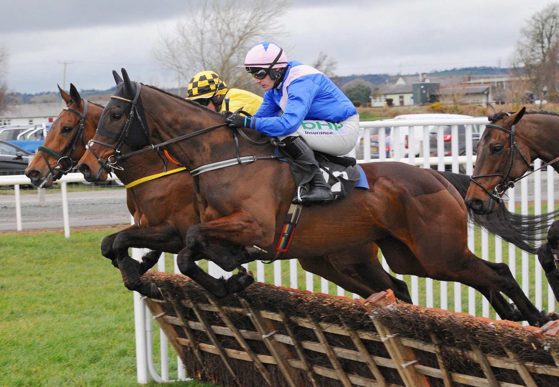 Roll Again (Walk In The Park) Wins The Maiden Hurdle At Down Royal 1