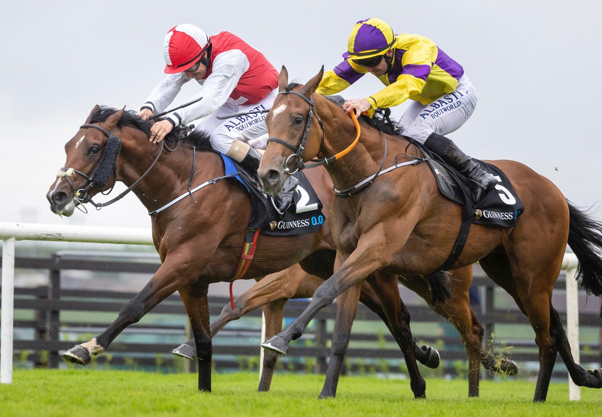 Roman Hands (Holy Roman Emperor) Wins His Maiden At Galway