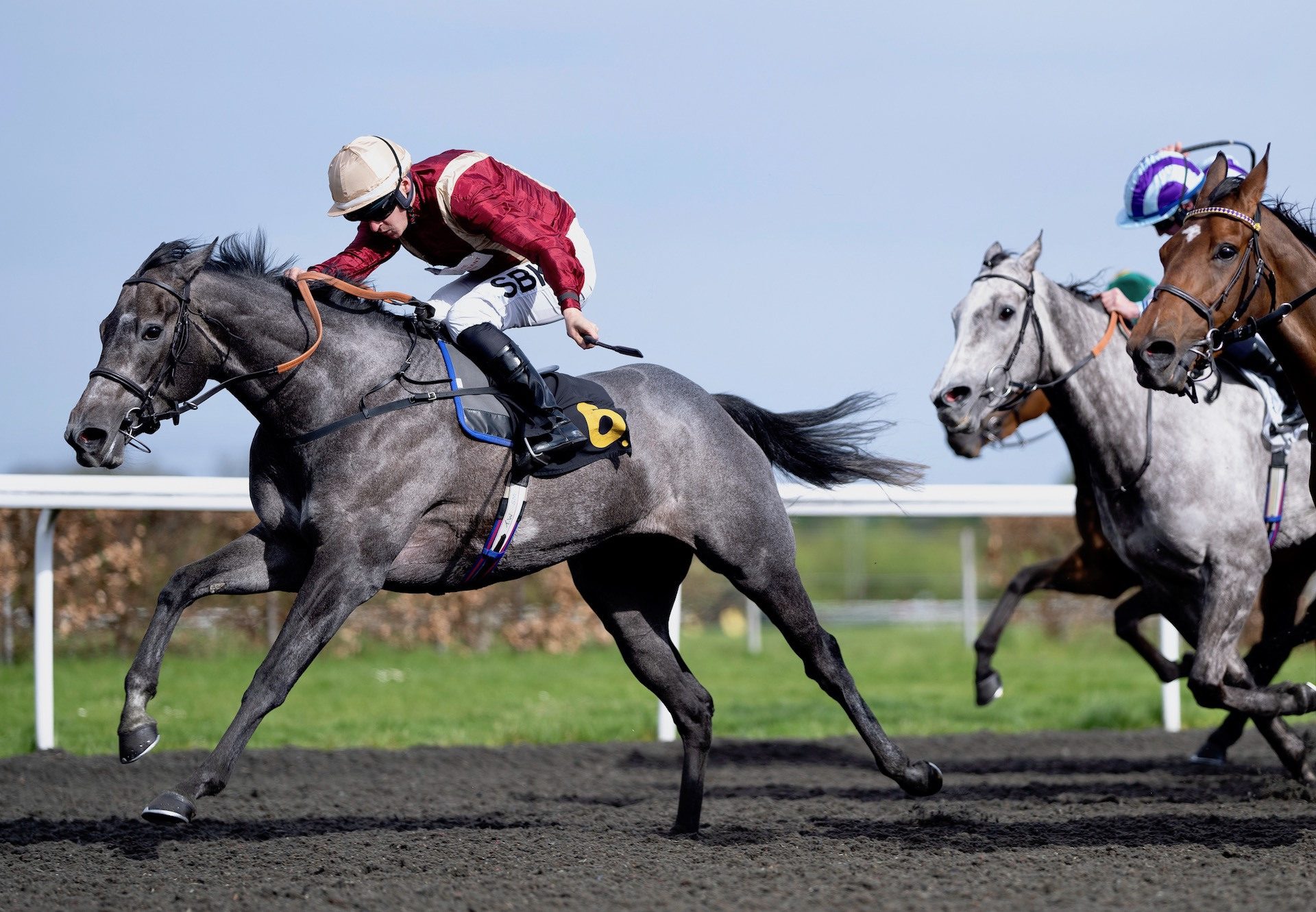 Roman Mist (Holy Roman Emperor) Wins The Listed Snowdrop Fillies’ Stakes At Kempton