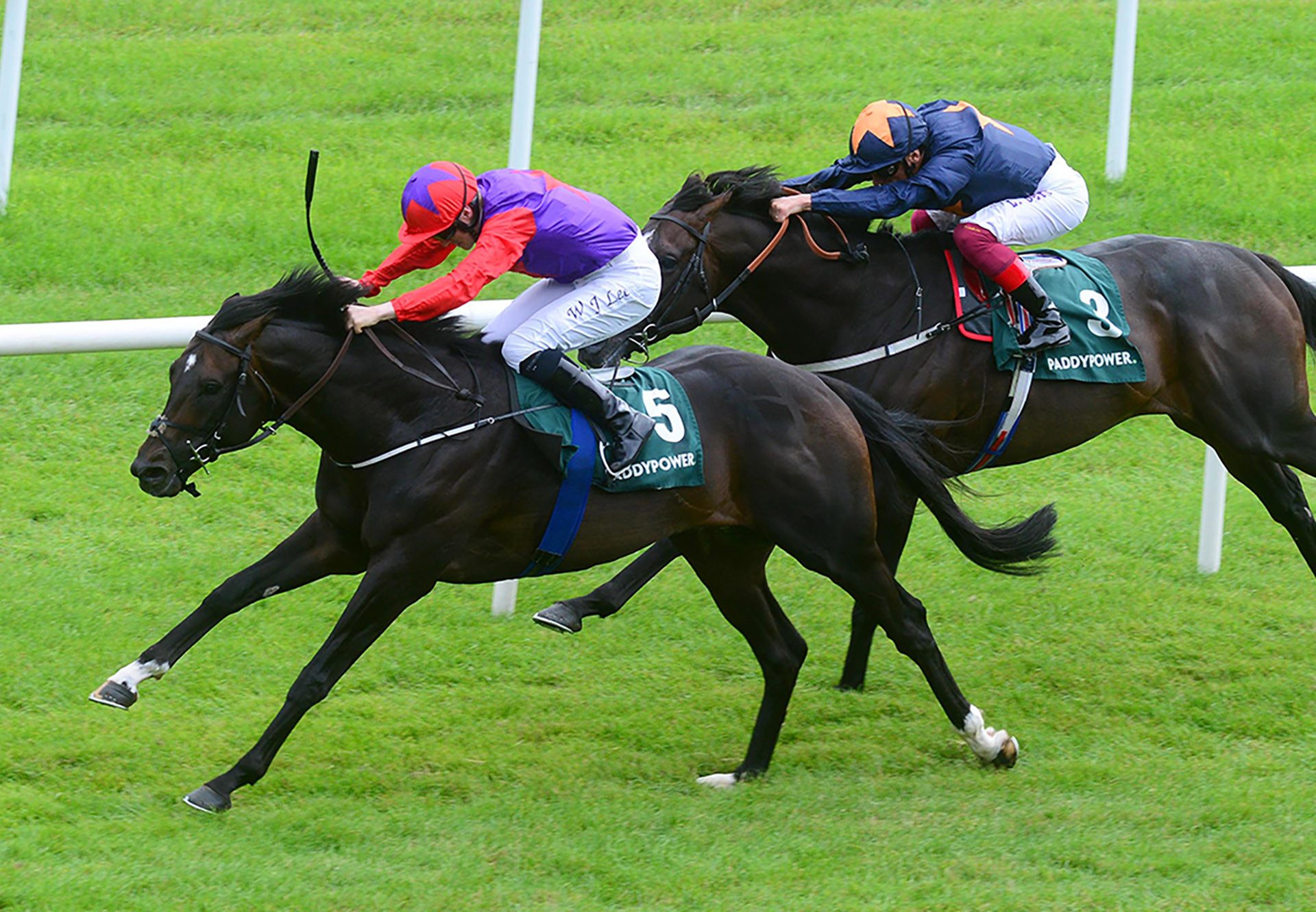 Romanised (Holy Roman Emperor) winning the Gr.2 Minstrel Stakes at the Curragh