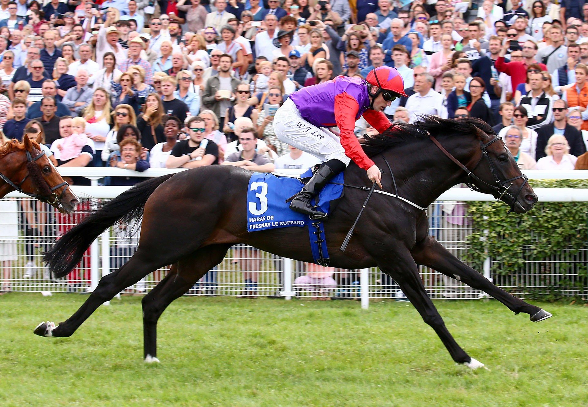Romanised (Holy Roman Emperor) winning the Gr.1 Prix Jacques le Marois at Deauville