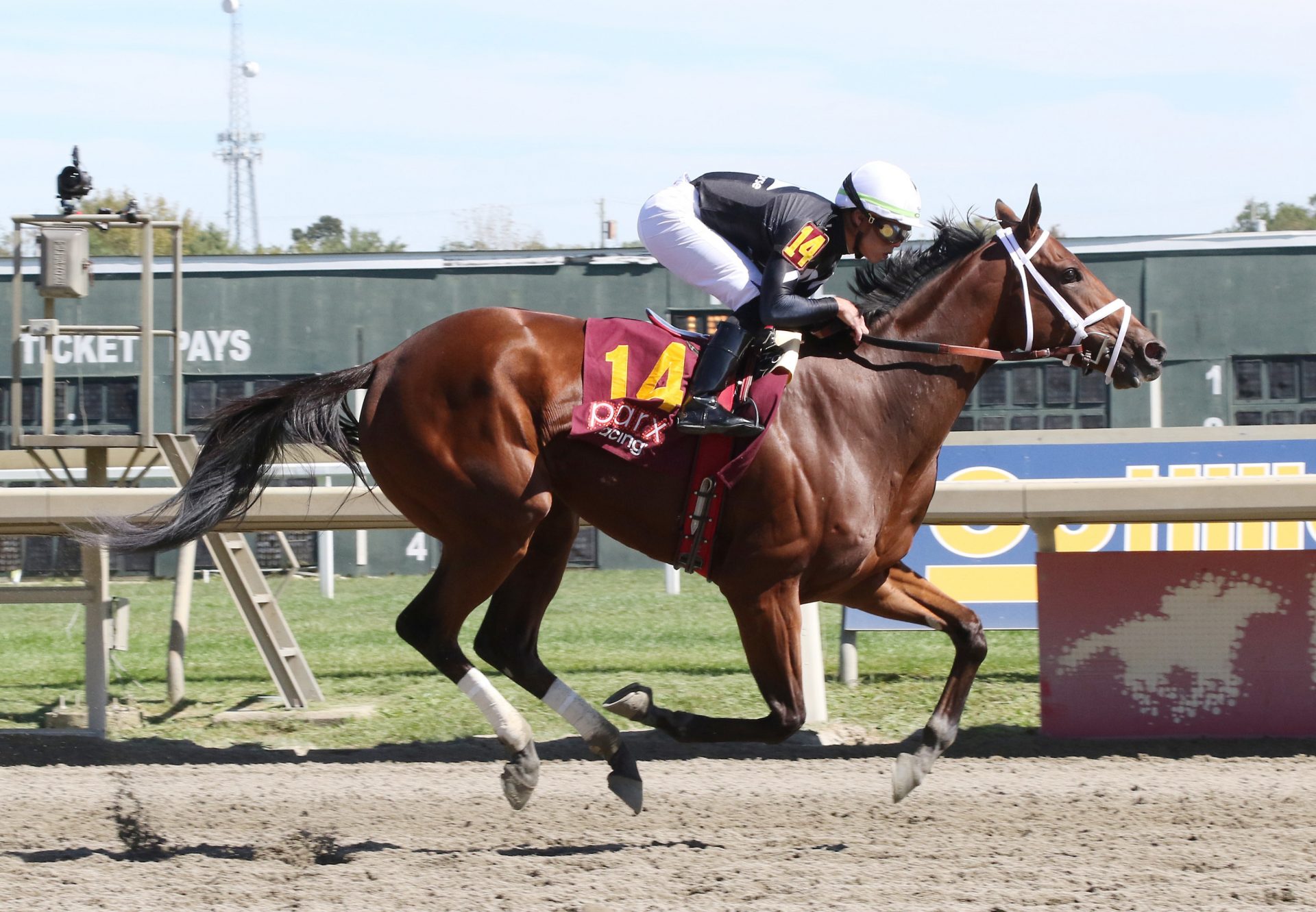 Rosies Alibi (Justify) Wins Parx MSW