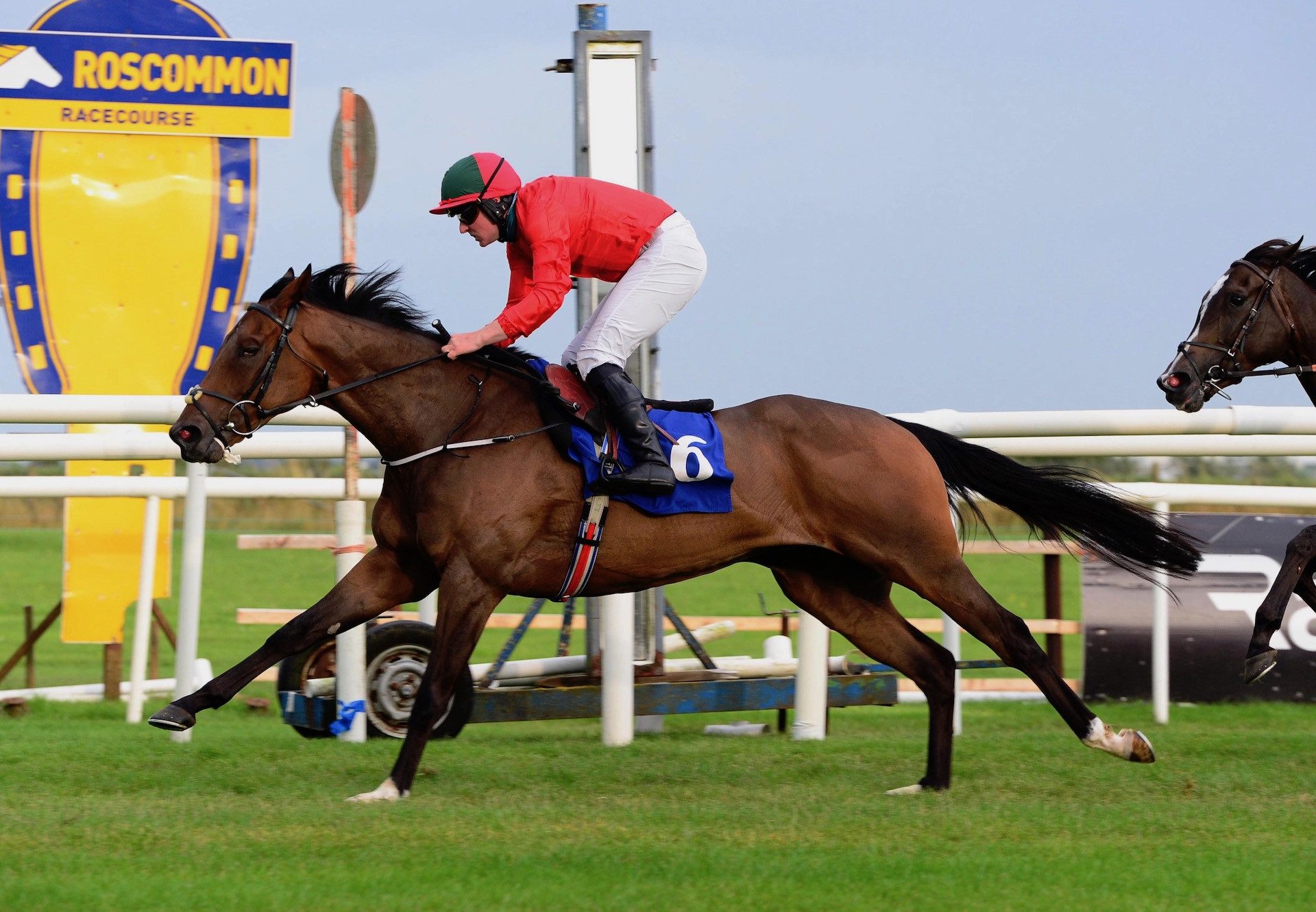 Rotten Row (Leading Light) Wins A Roscommon Bumper On Debut
